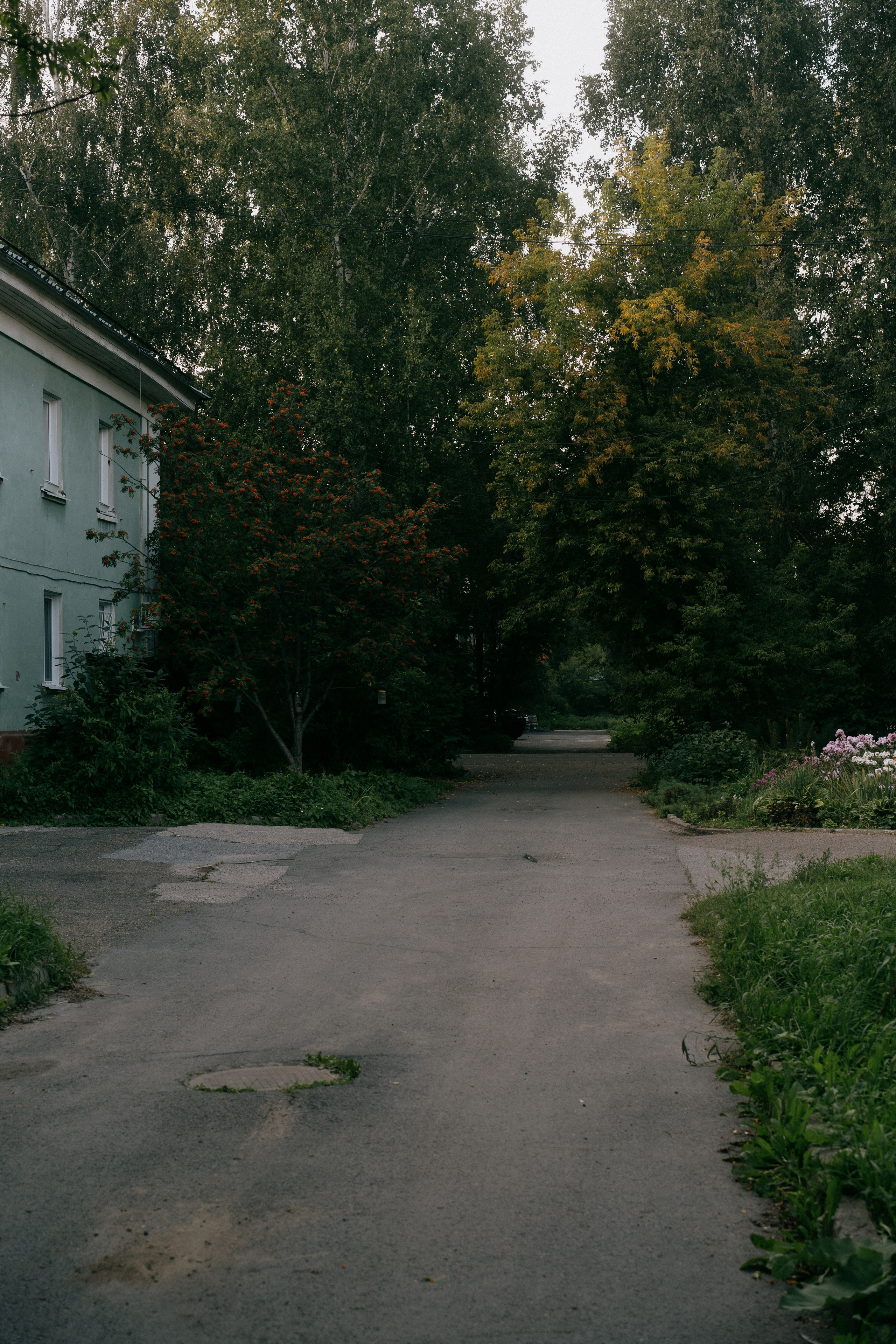 Северск. Veronika Popadeikina Photographer