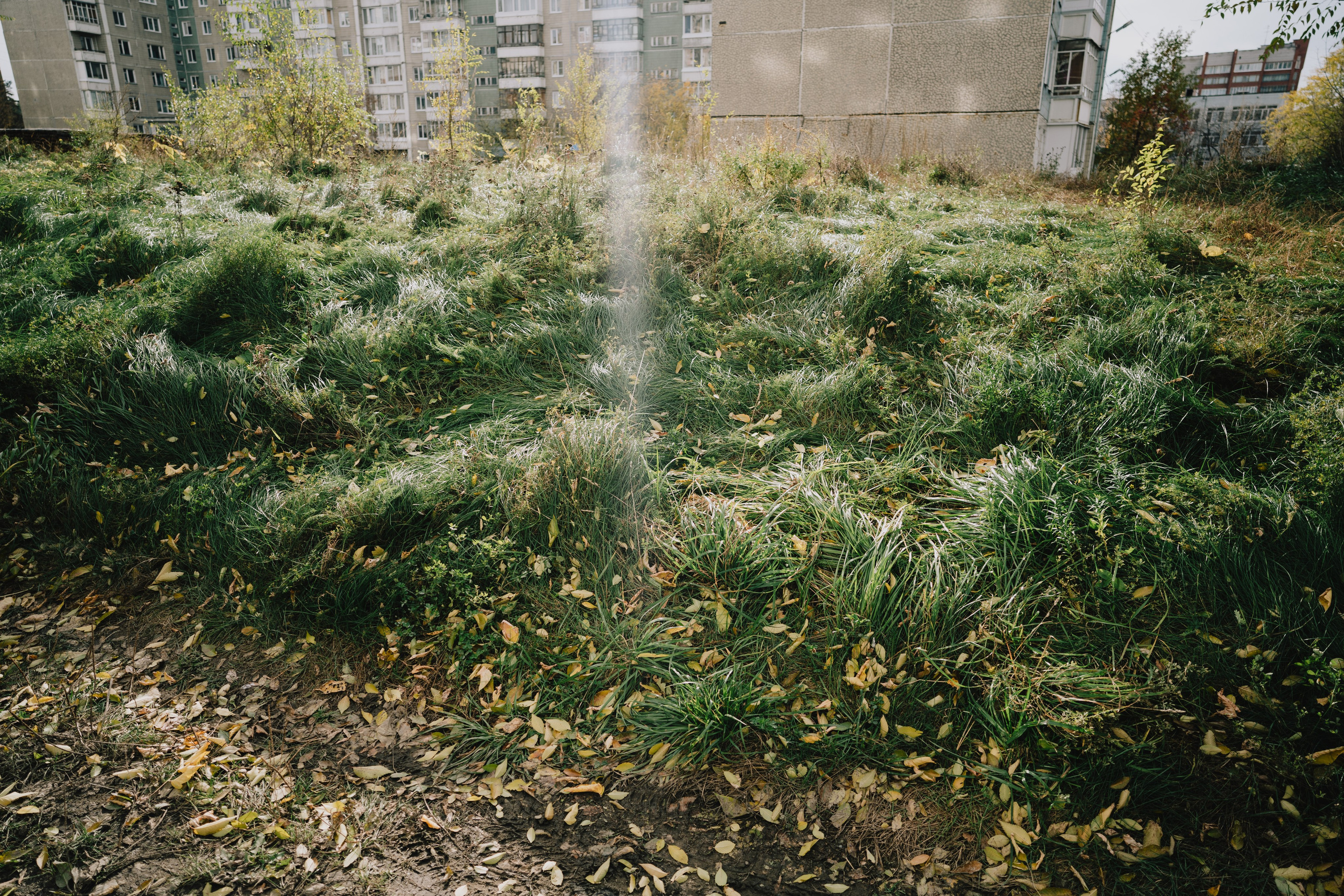 Осень в Северске. Veronika Popadeikina Photographer