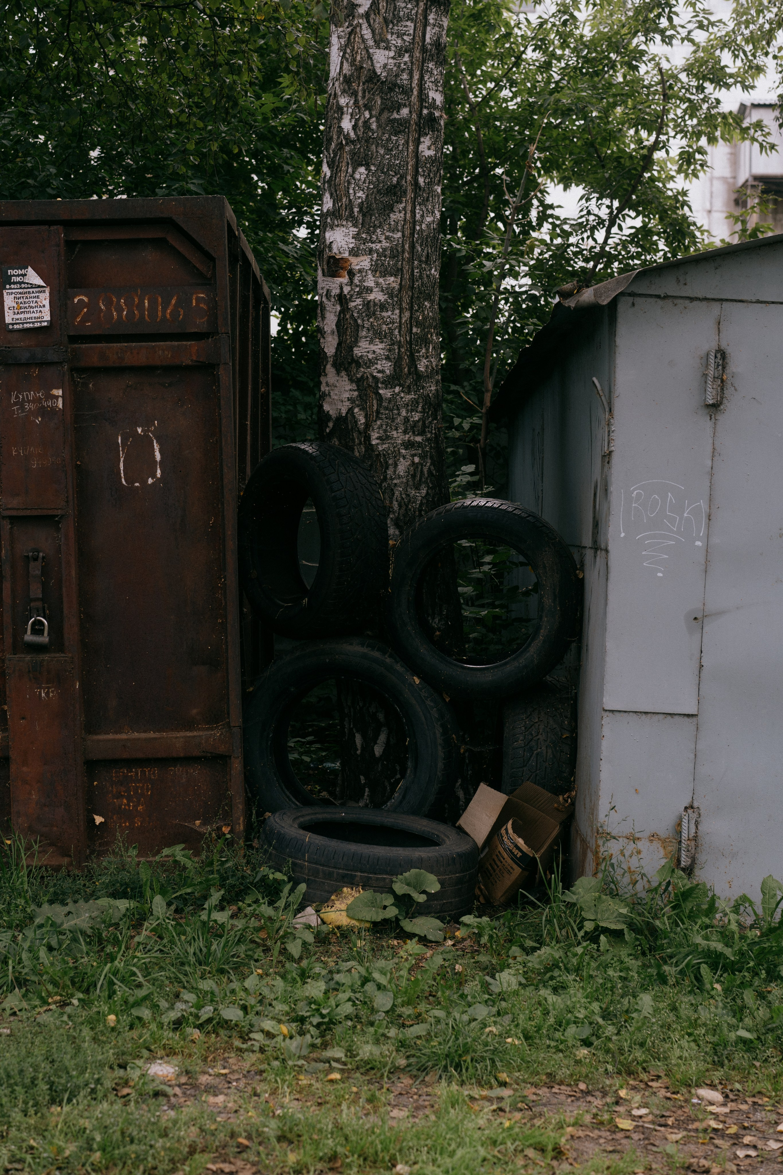 Район Черемошники, Томск. Veronika Popadeikina Photographer