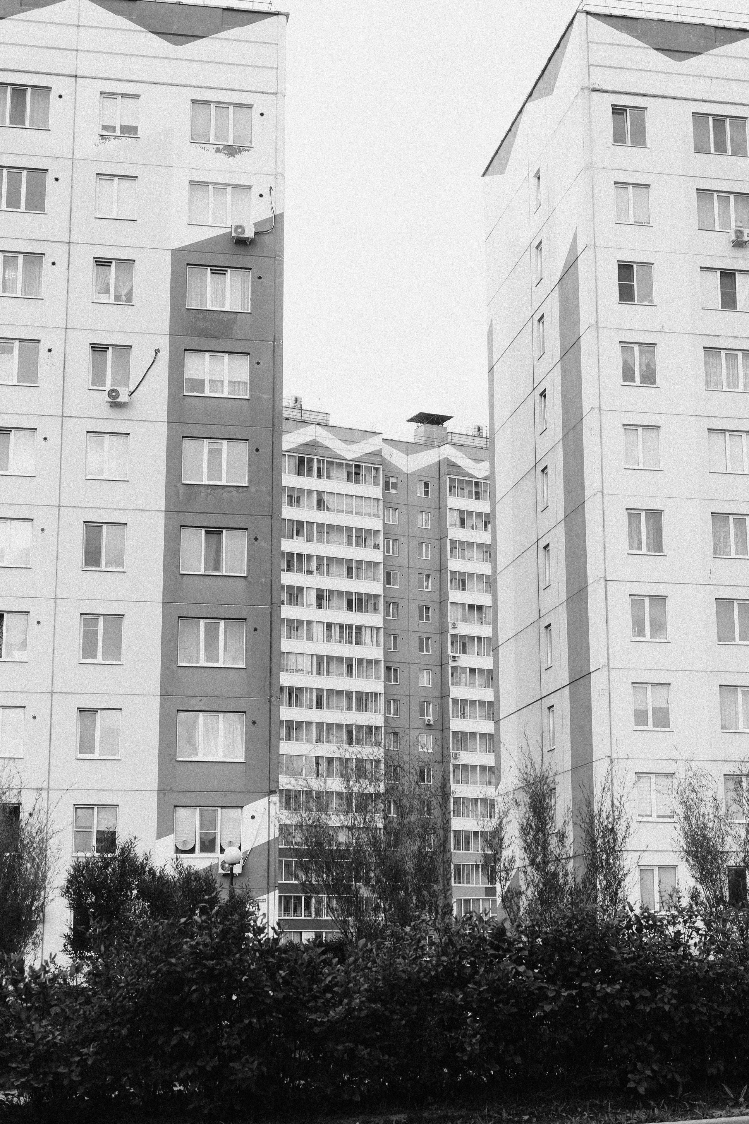 Зелёные горки. Veronika Popadeikina Photographer