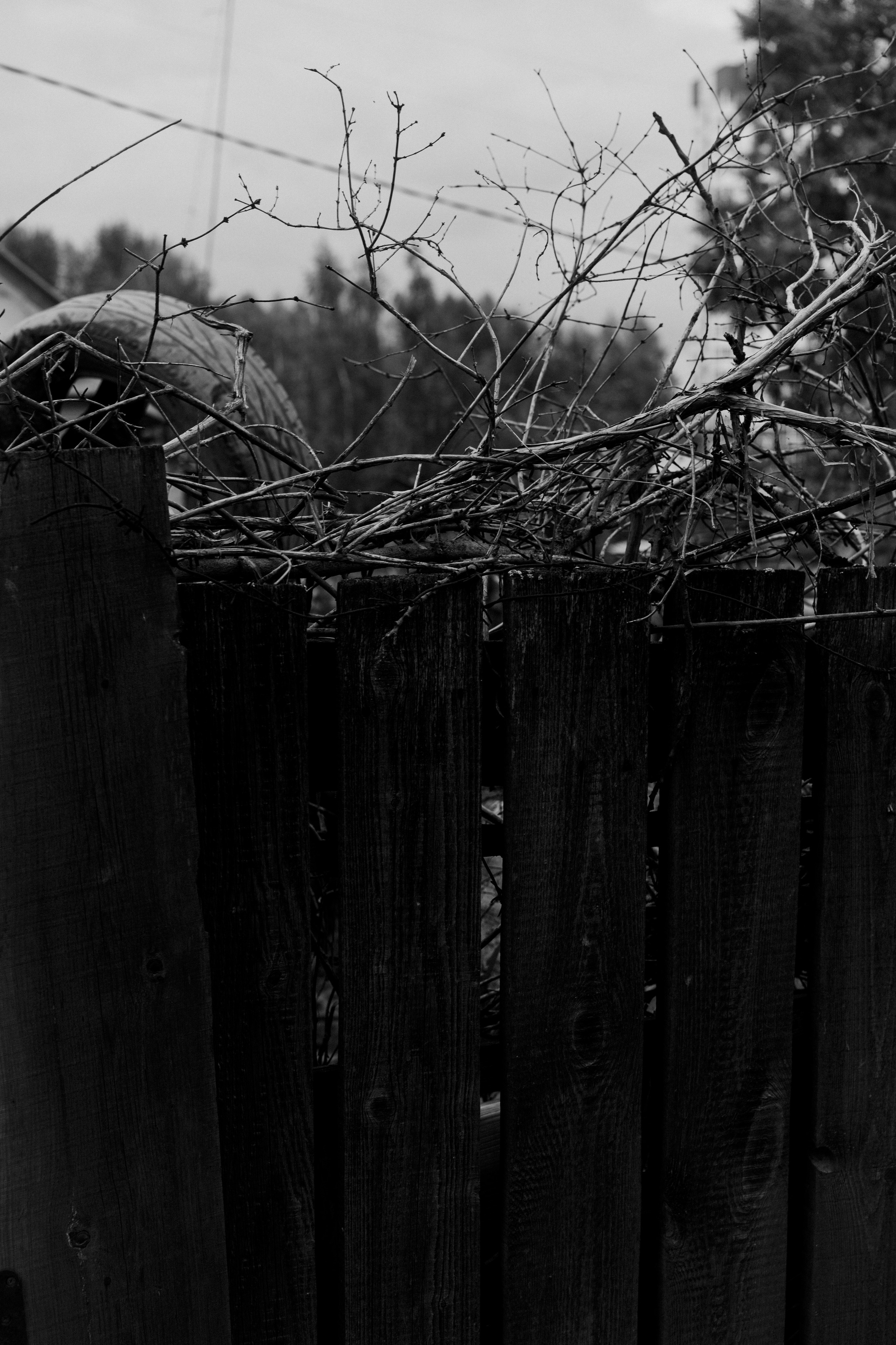Район Черемошники, Томск. Veronika Popadeikina Photographer