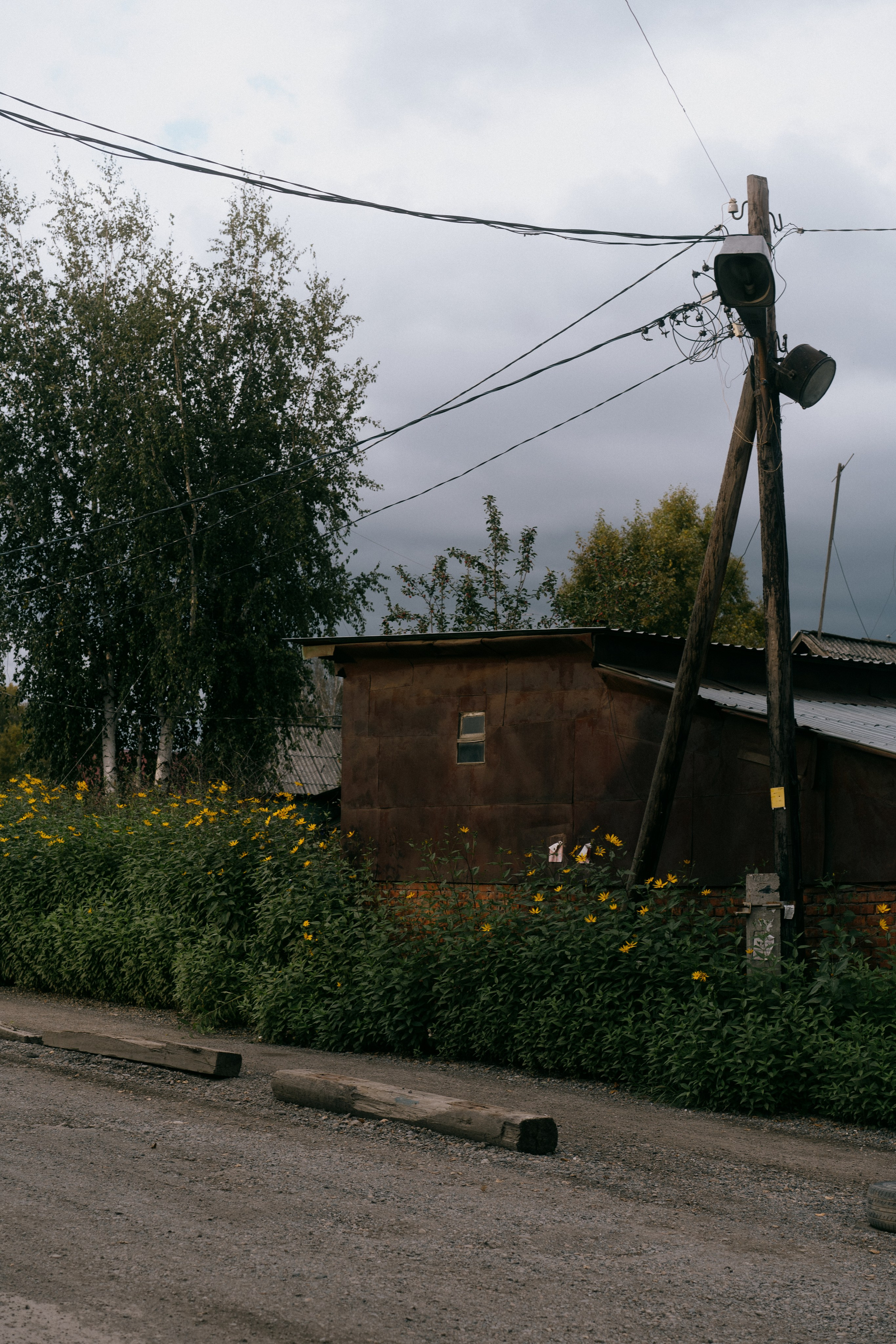 Район Черемошники, Томск. Veronika Popadeikina Photographer