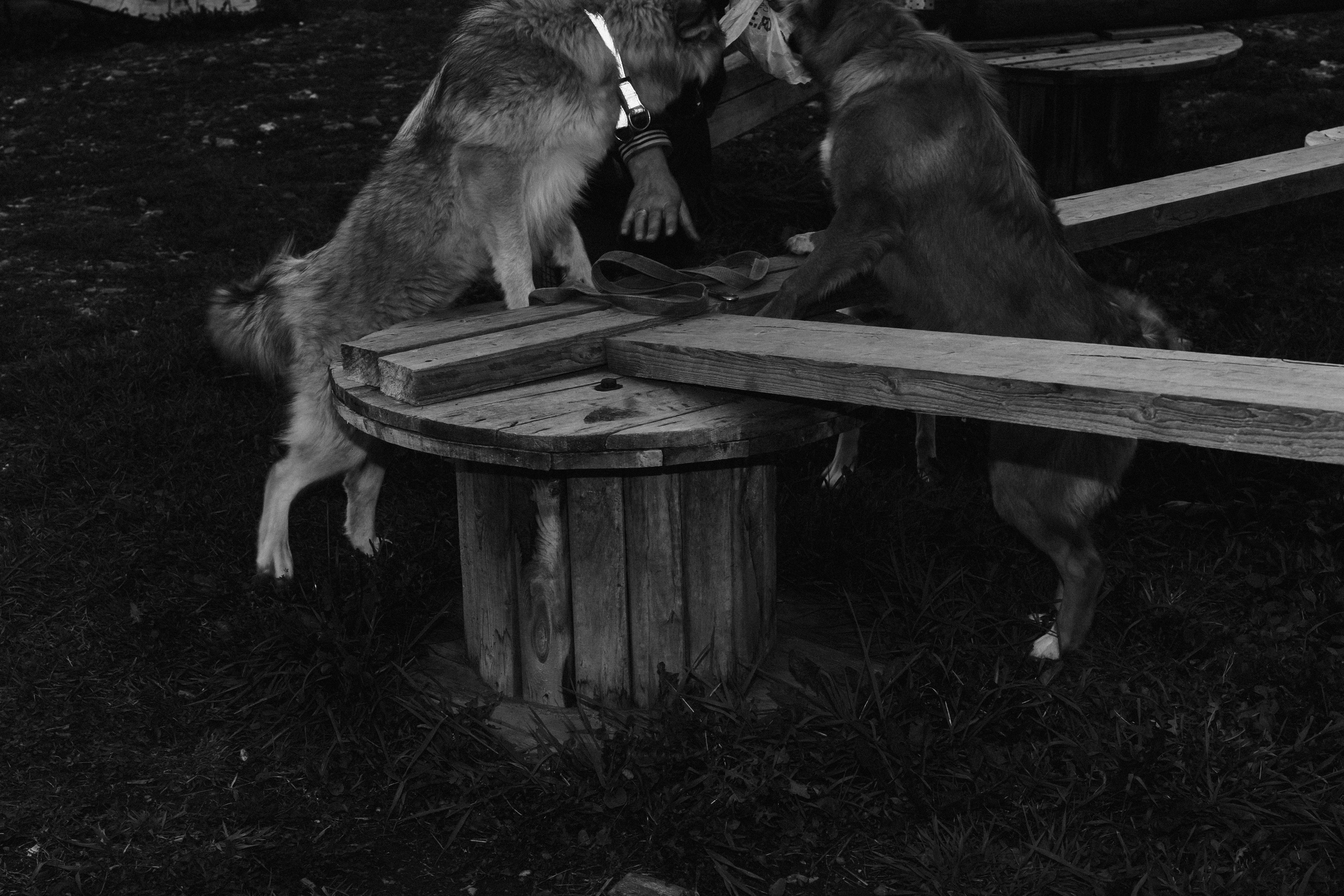 Улица Балтийская. Veronika Popadeikina Photographer