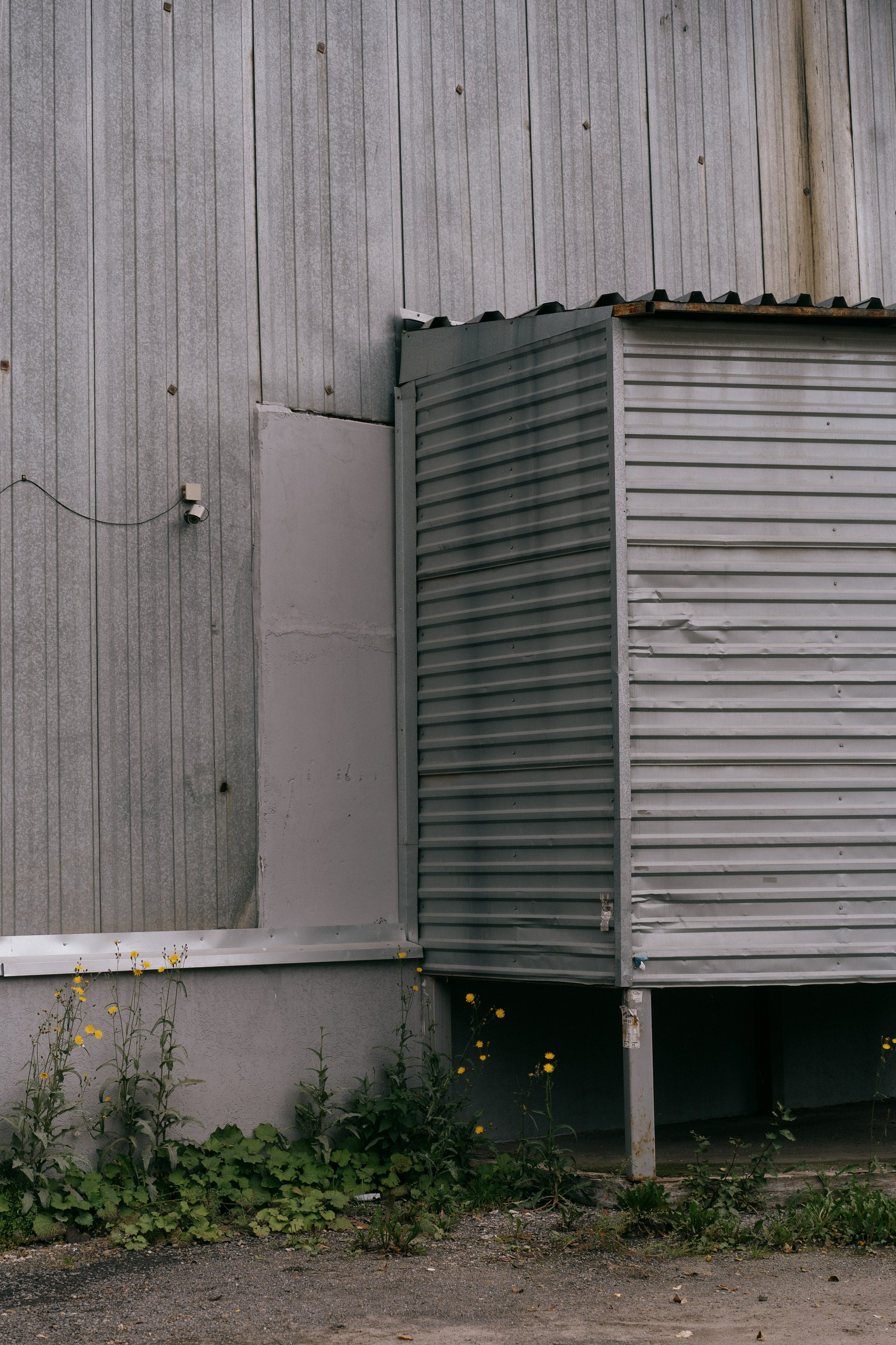Район Черемошники, Томск. Veronika Popadeikina Photographer