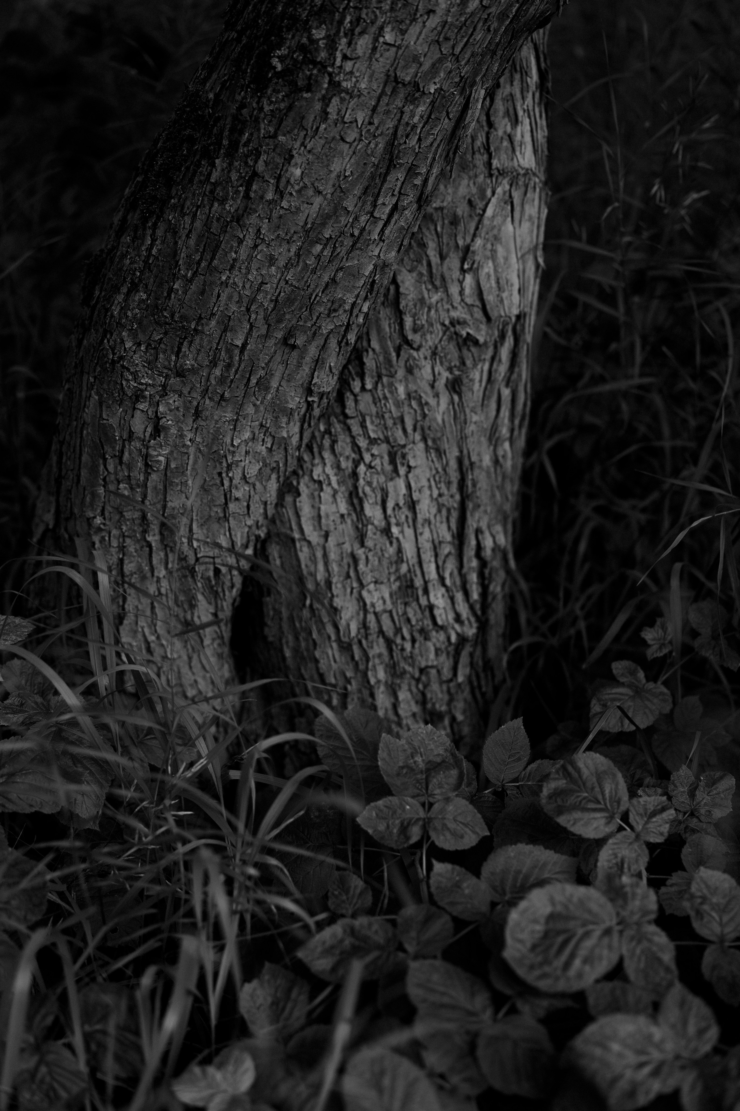 Северск. Veronika Popadeikina Photographer