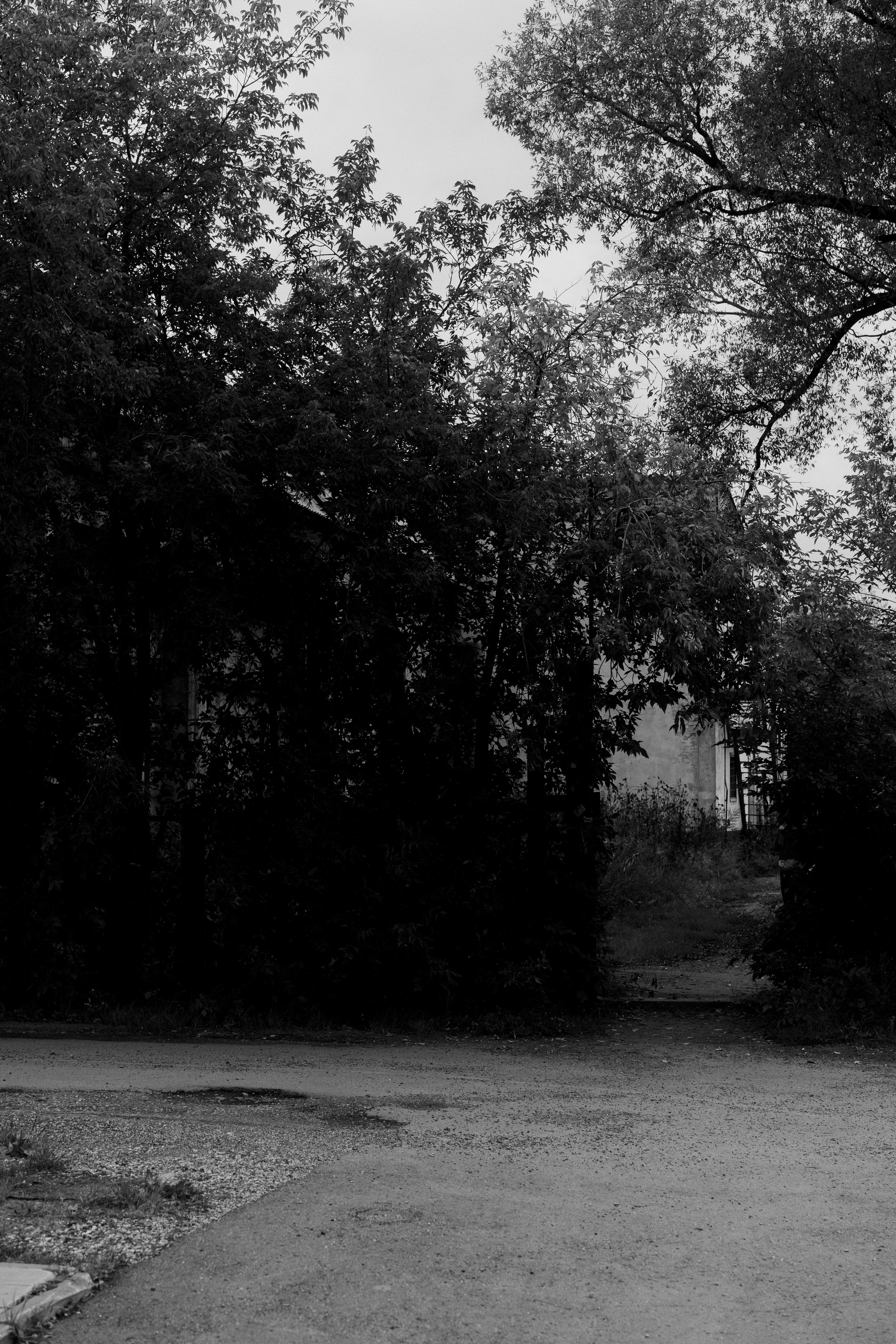 Район Черемошники, Томск. Veronika Popadeikina Photographer