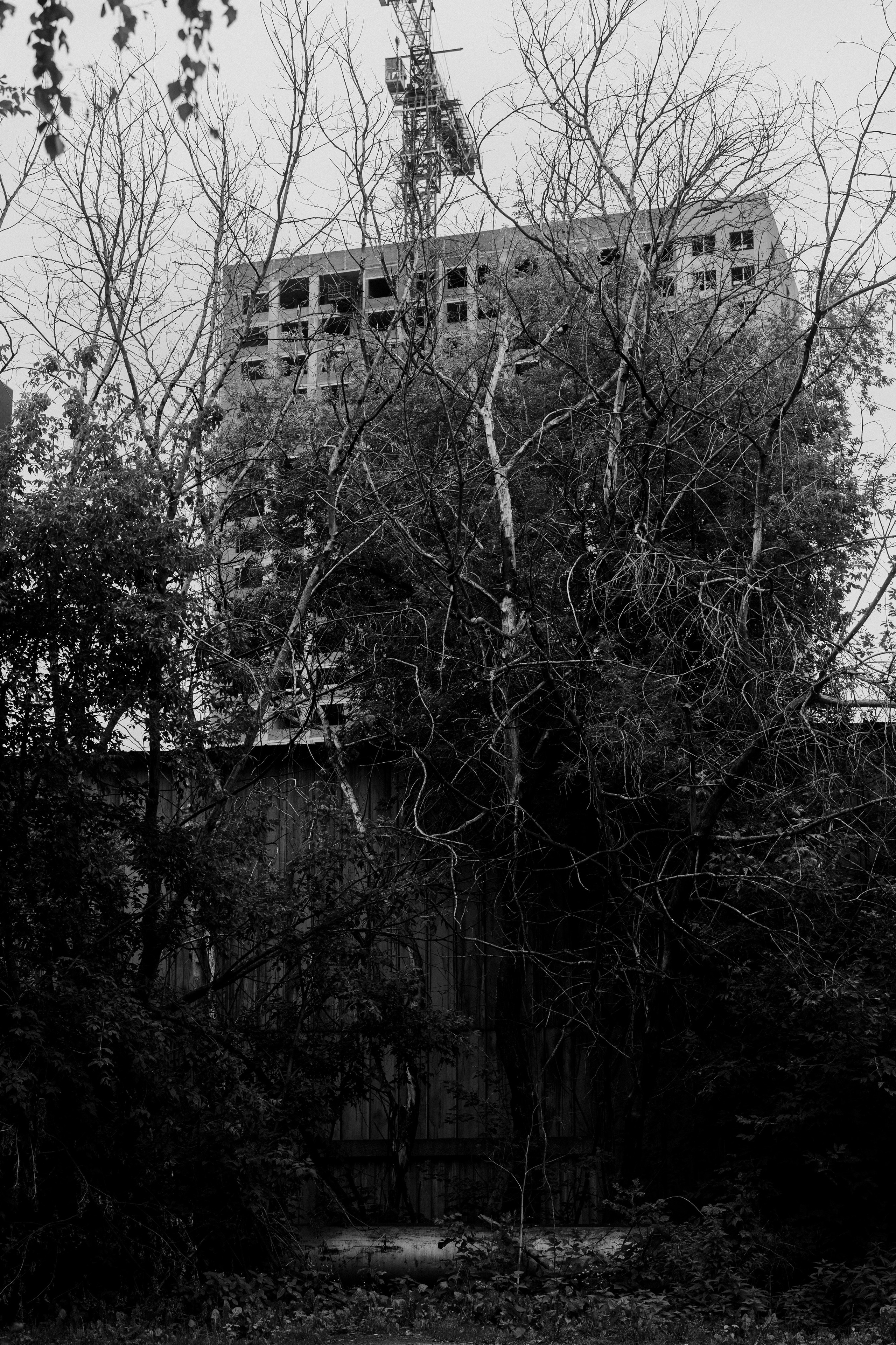 Район Черемошники, Томск. Veronika Popadeikina Photographer