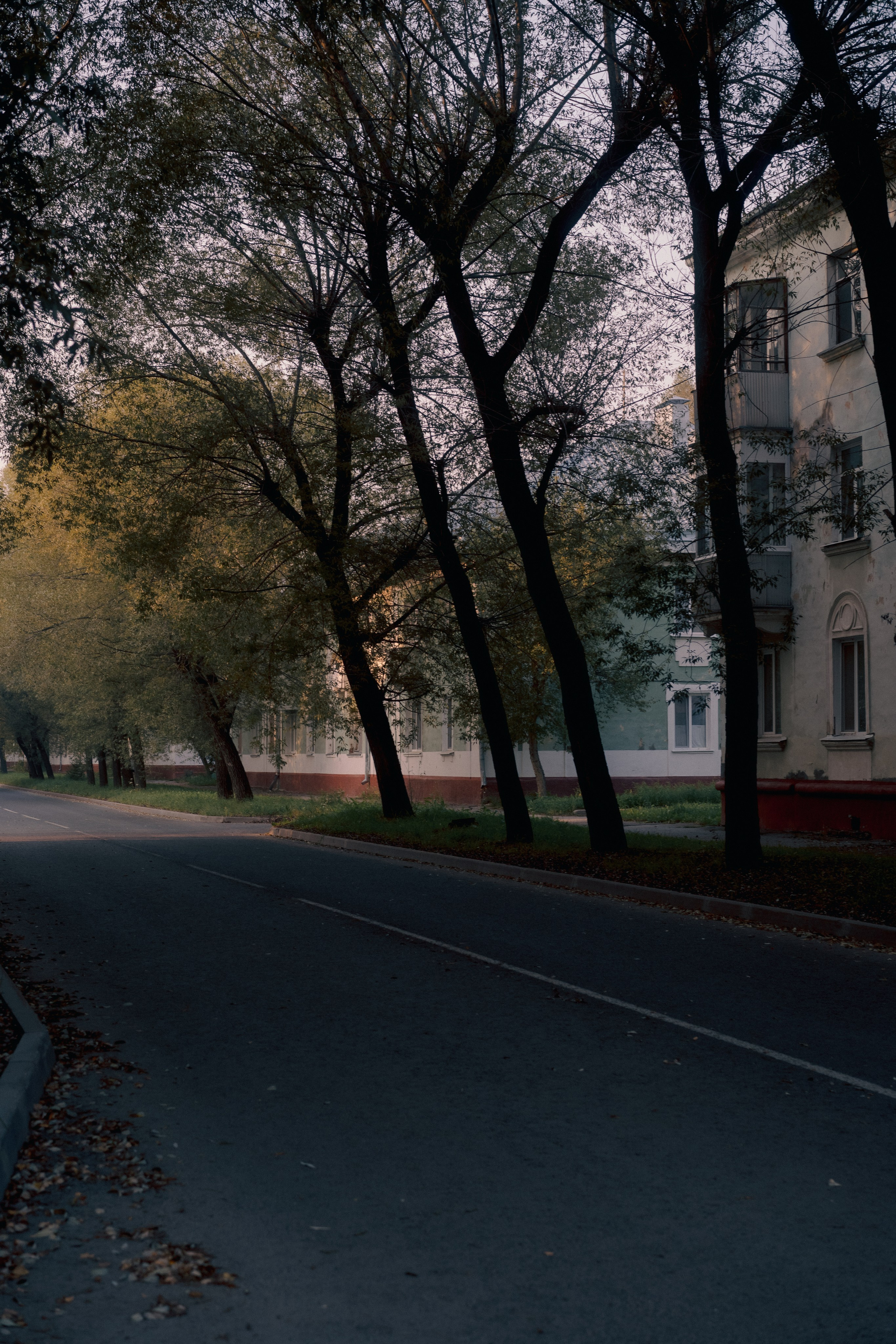 Северск. Veronika Popadeikina Photographer