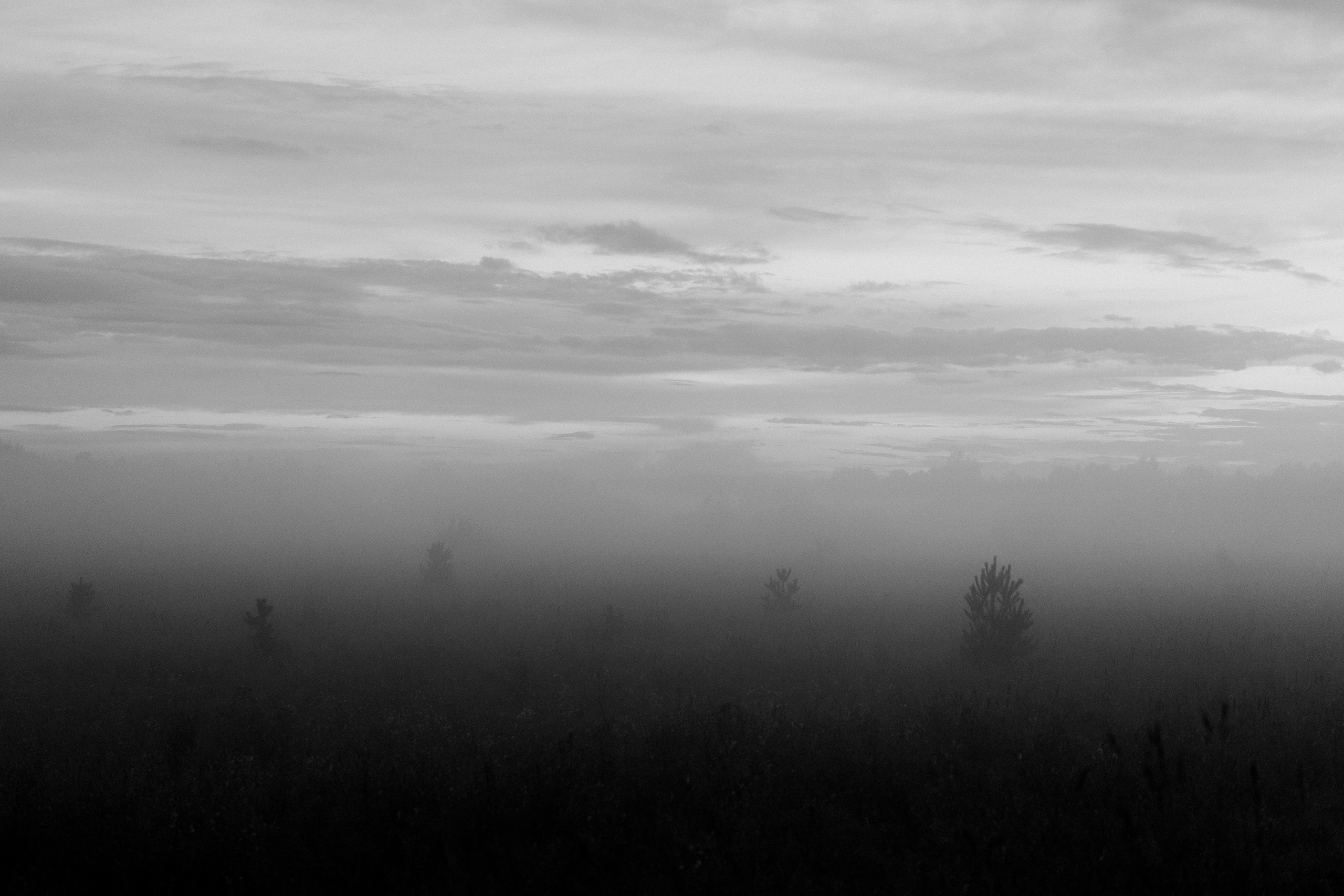 Эушта (Томская область). Veronika Popadeikina Photographer