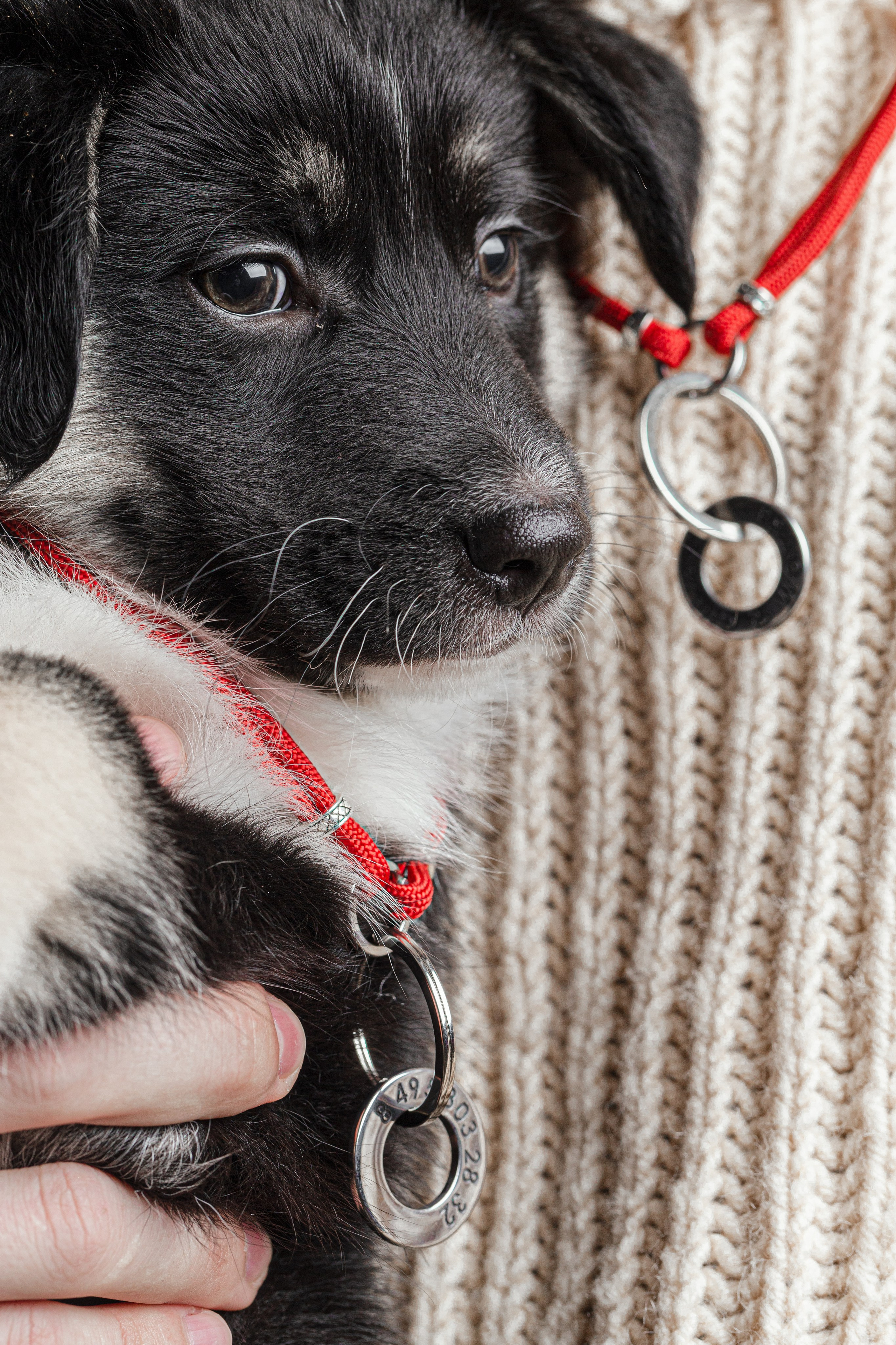 Промо к фильму «Рдом» Тамара Дондурей. Портретный и ивент-фотограф в Москве