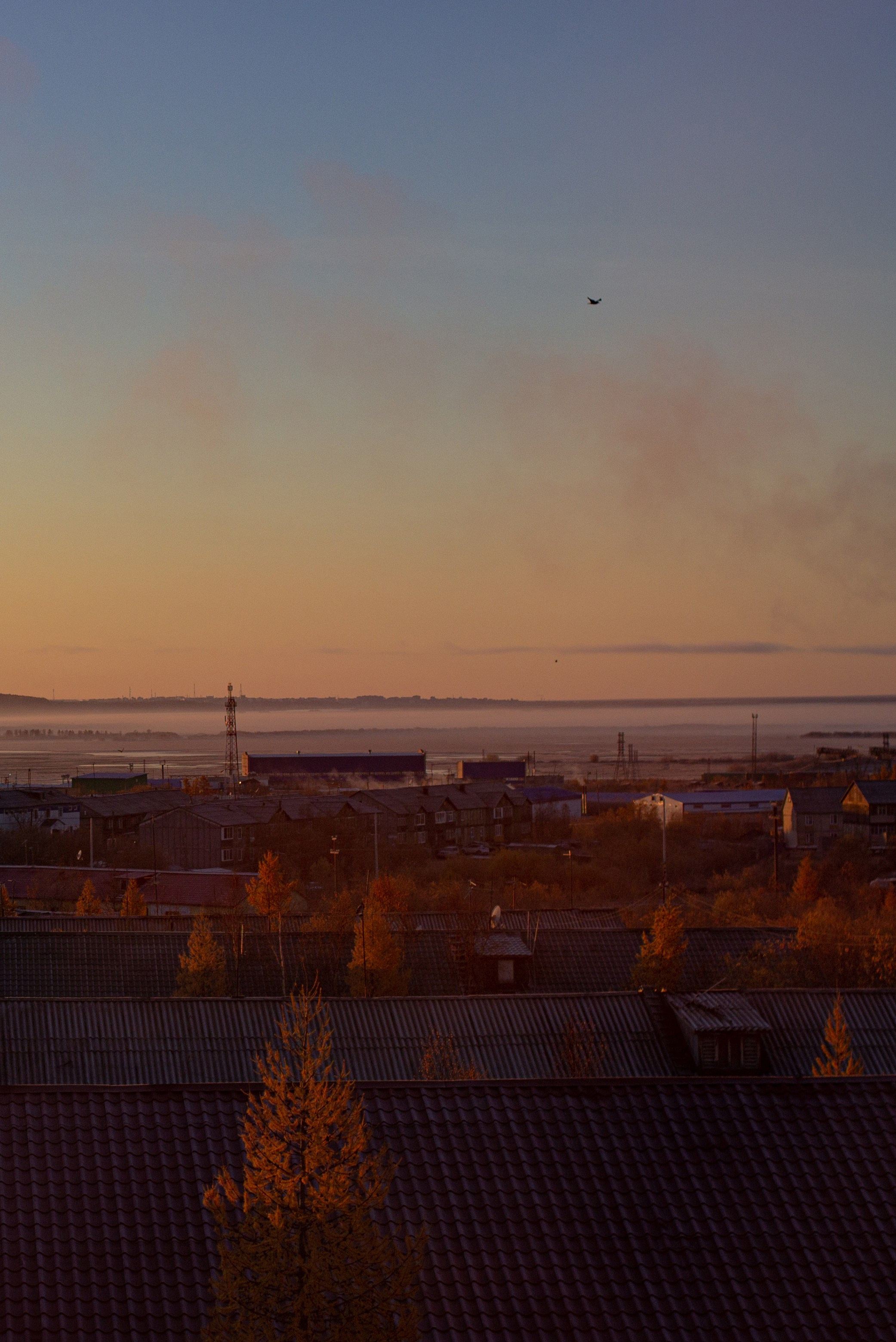 Осень. Фотограф Екатерина Зорина