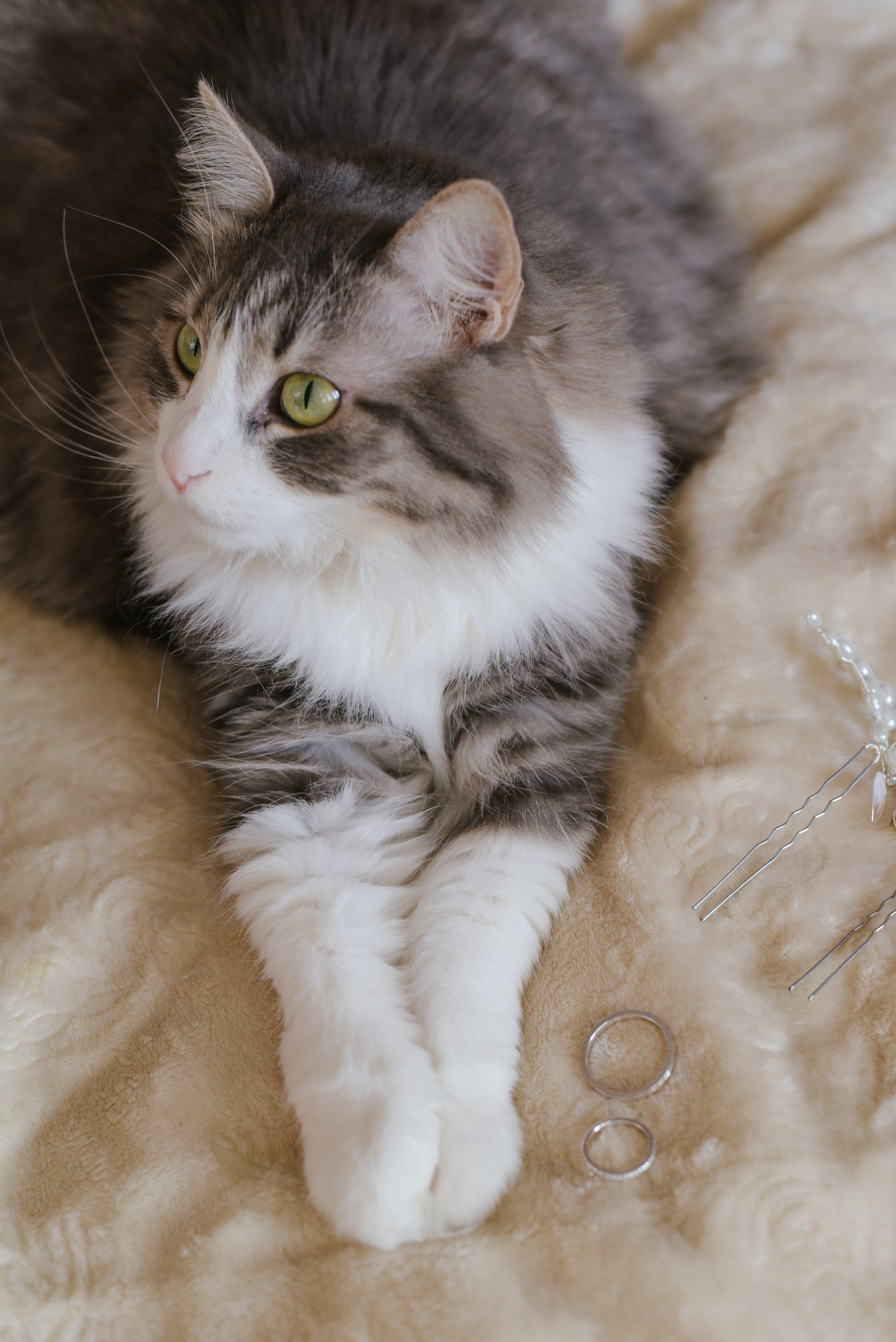 На льду. Фотограф Лола Волна, город Москва