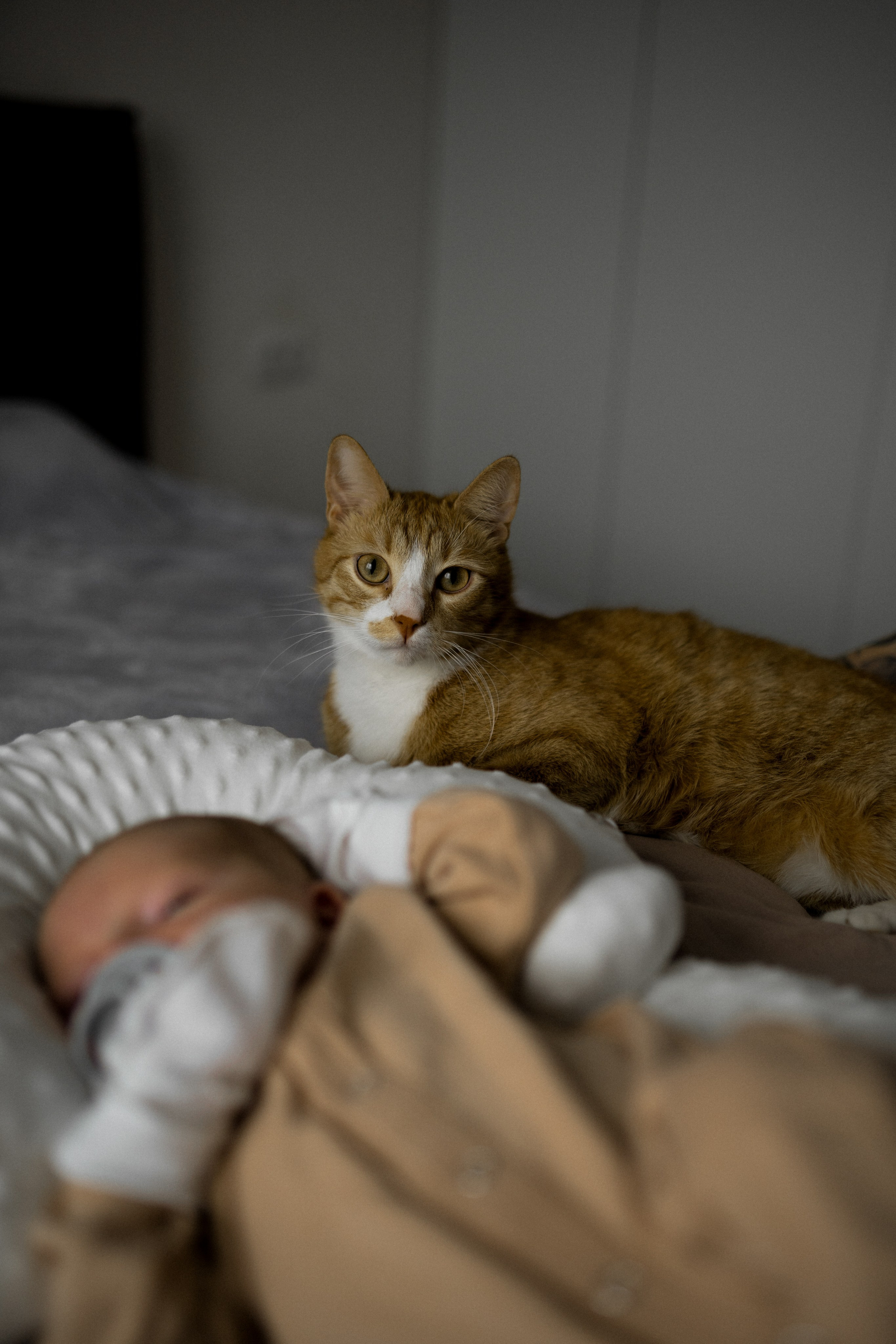 Домашняя съемка в Суздале. Семейный фотограф в Суздале Елена Кузнецова