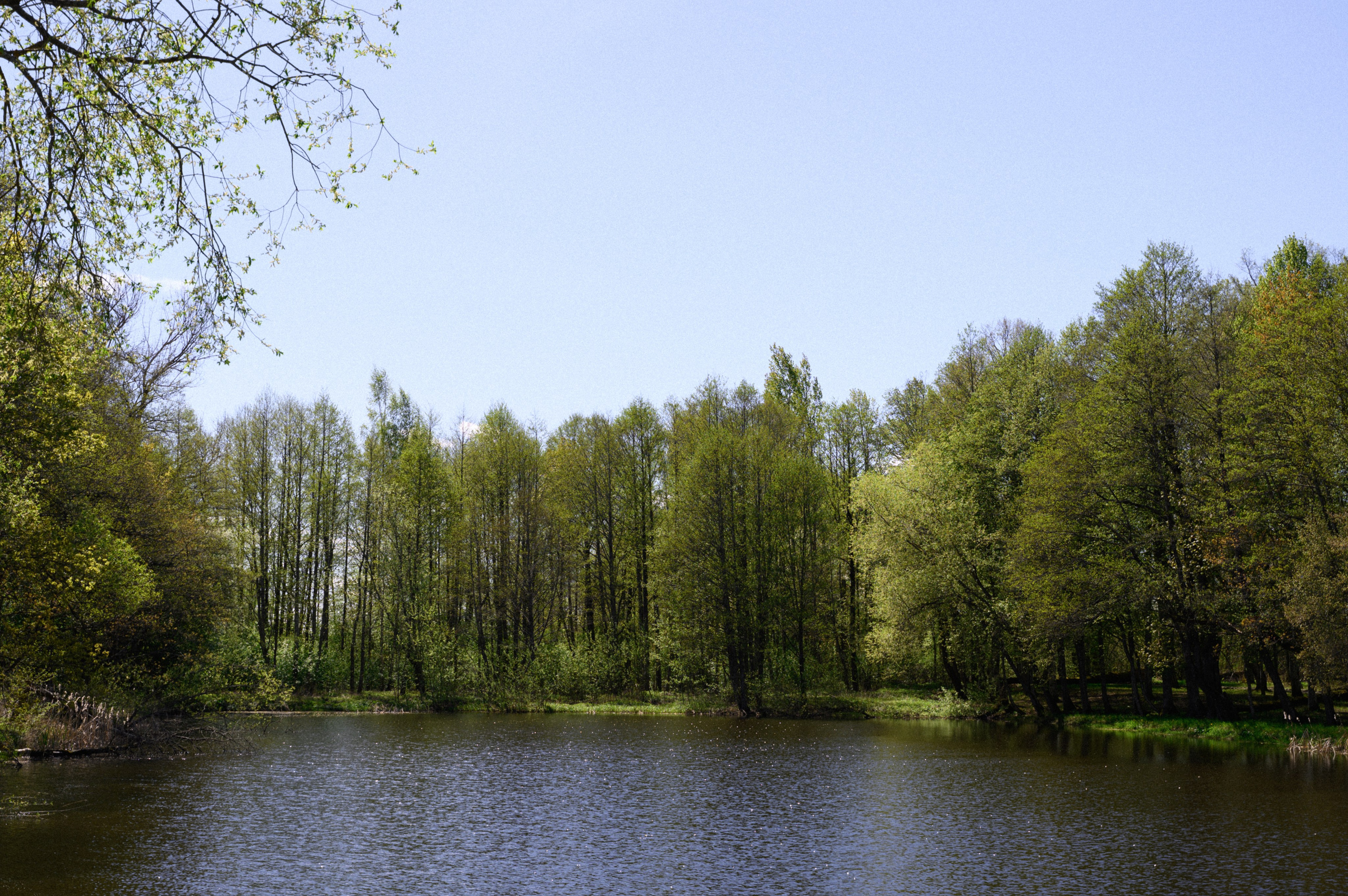 Иван и Наталья. Свадебный фотограф Минск