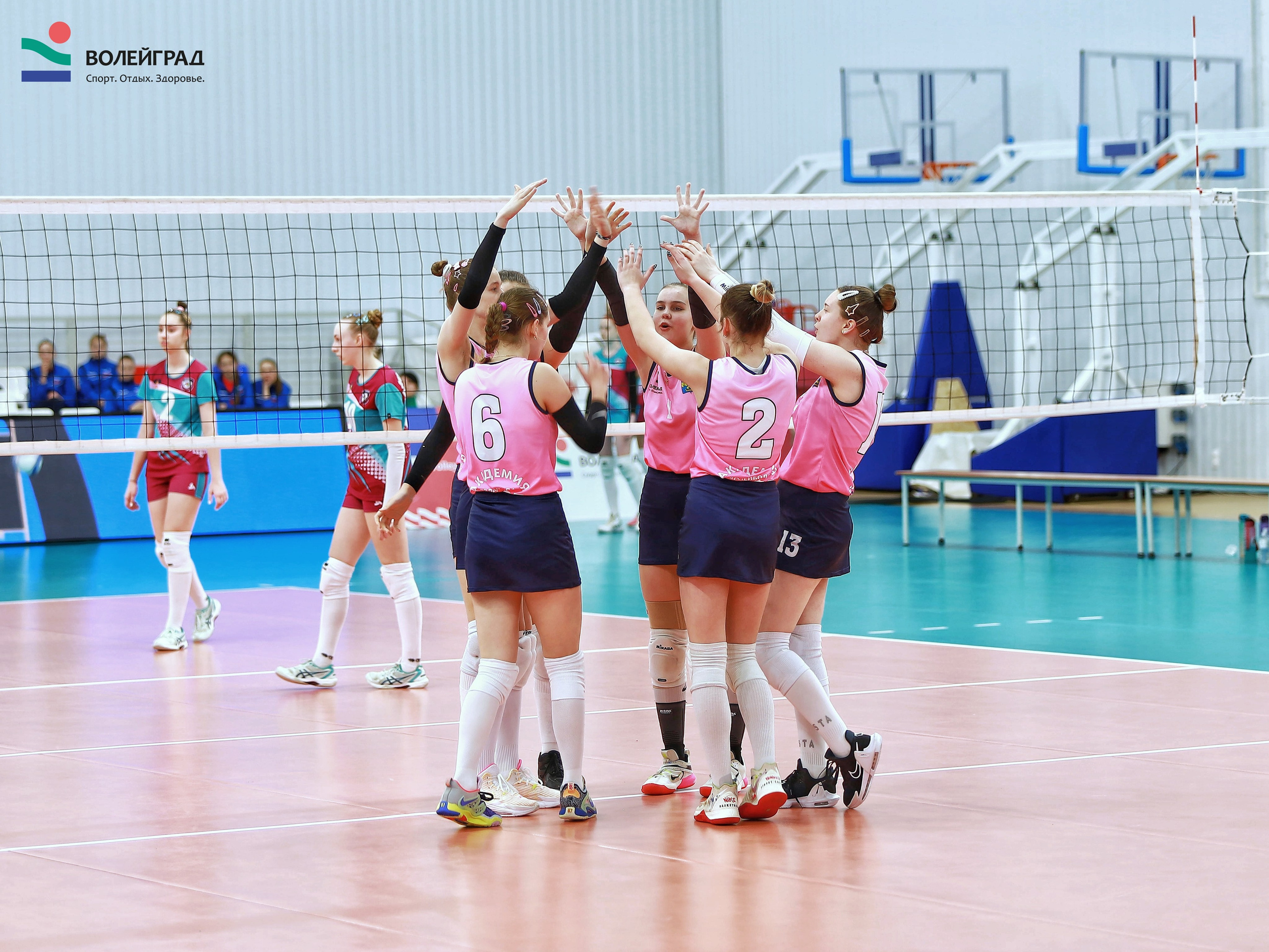 Волейбол ВФВ 05.04.24. Репортажный фотограф Анапа