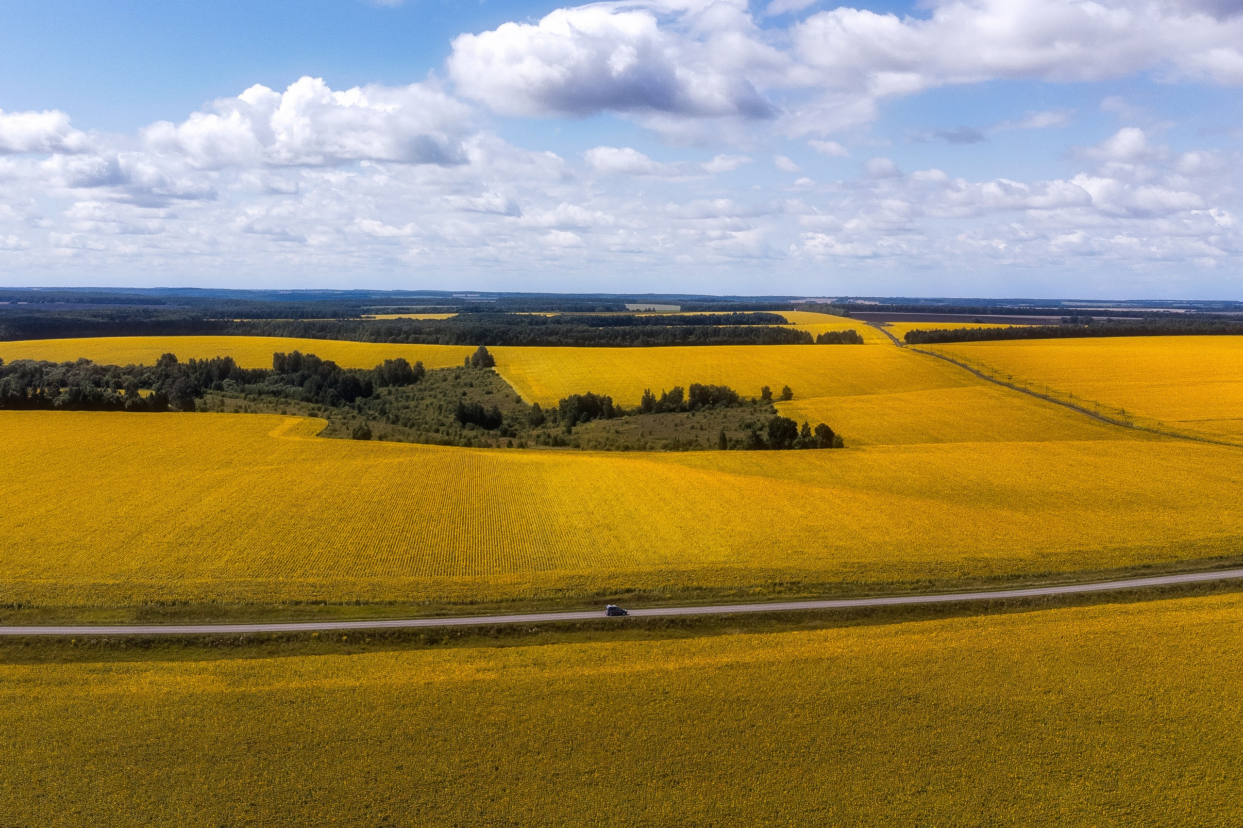 Природа (Лето). Фотограф Мартыненко Дмитрий
