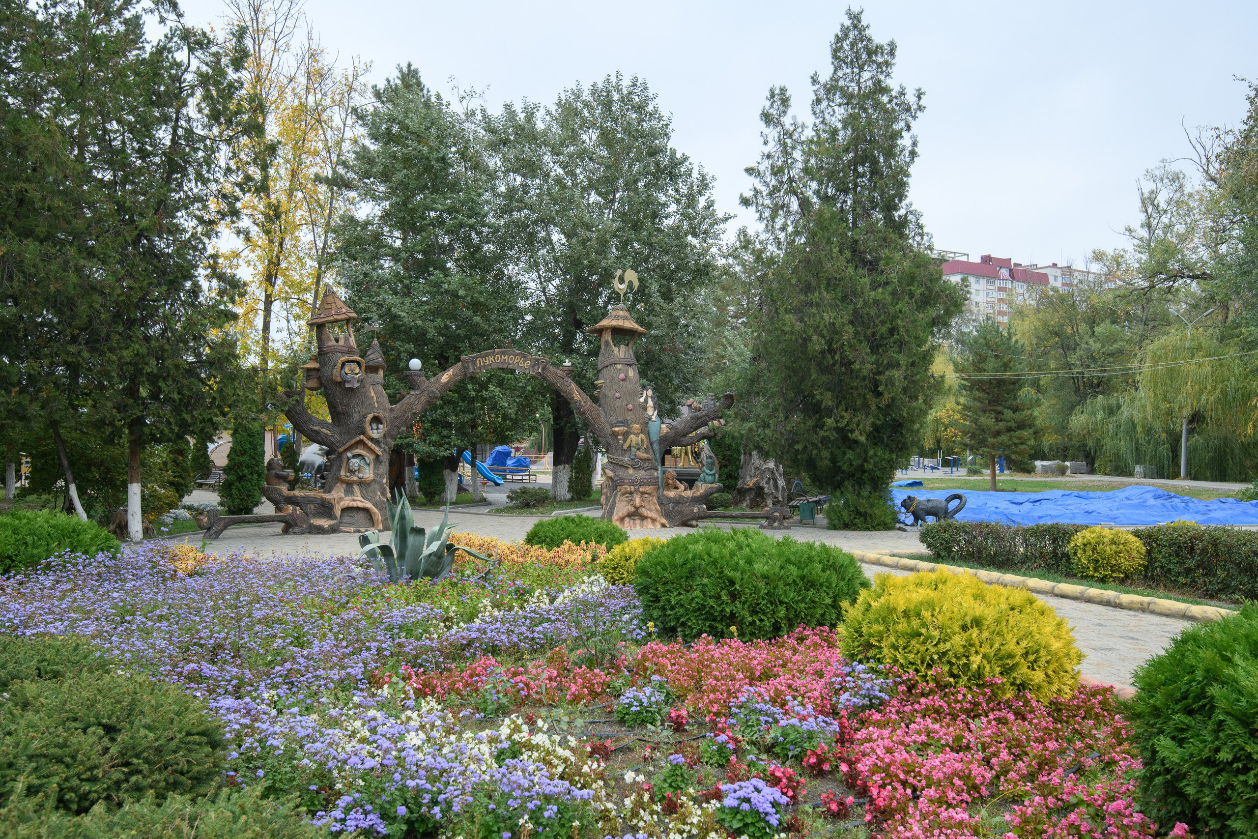 Черкесск. Профессиональная фотосъемка. Ростов-на-Дону