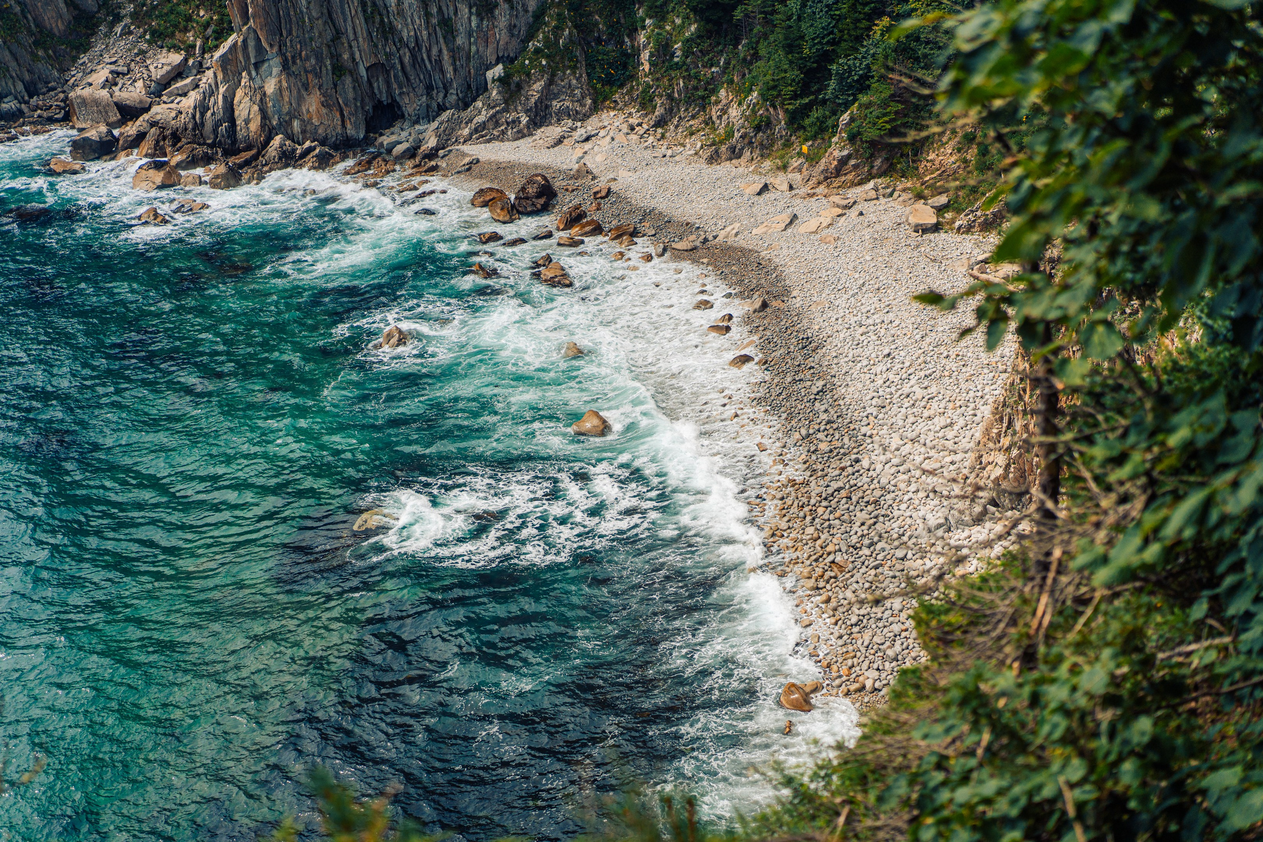 Тисовая роща | Остров Петрова. Иван Зайцев (IZIART) — создание культурного кода через фото и видео