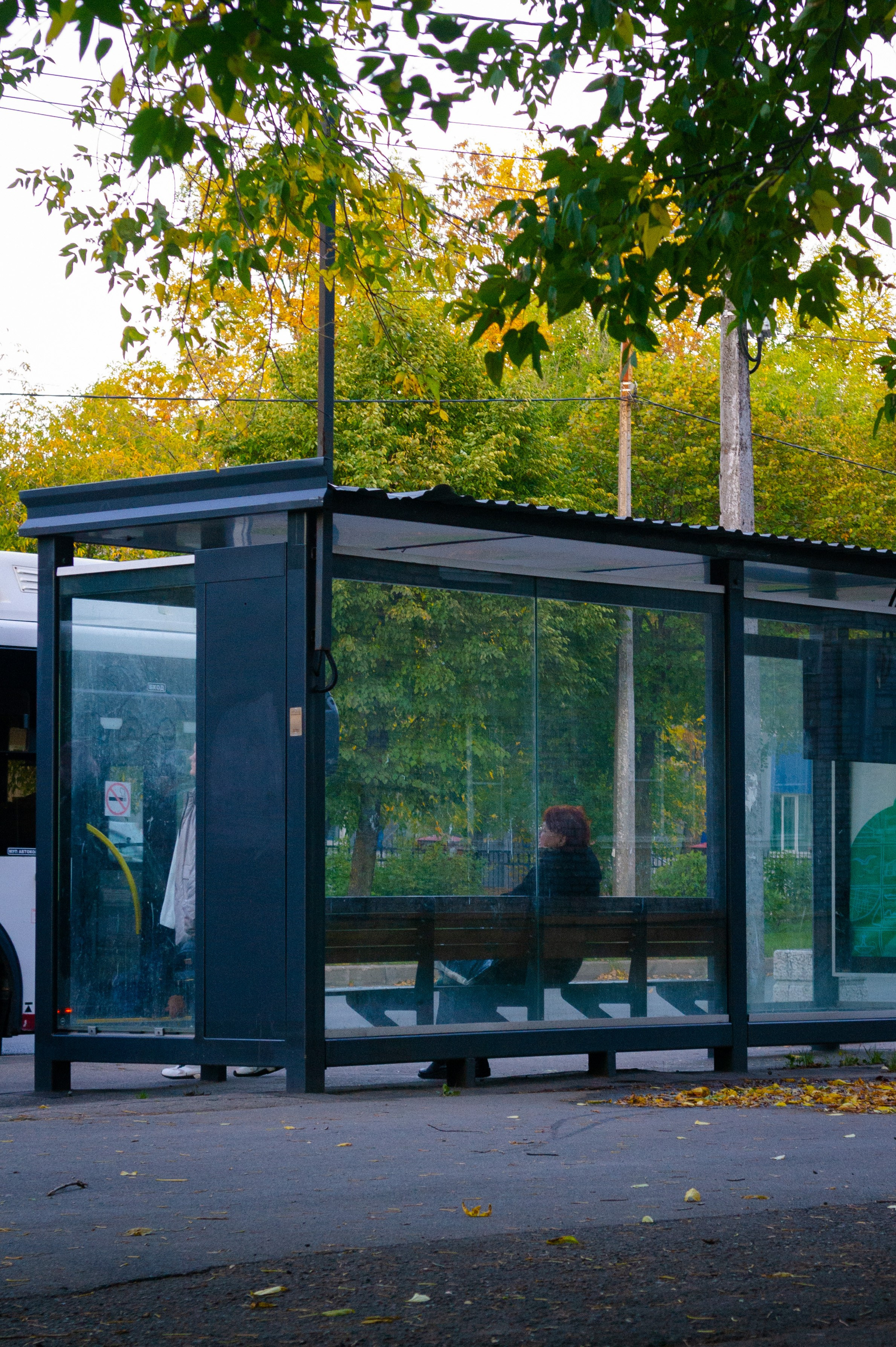 Сентябрь 2025. Den Mirov — Фотограф, Музыкант