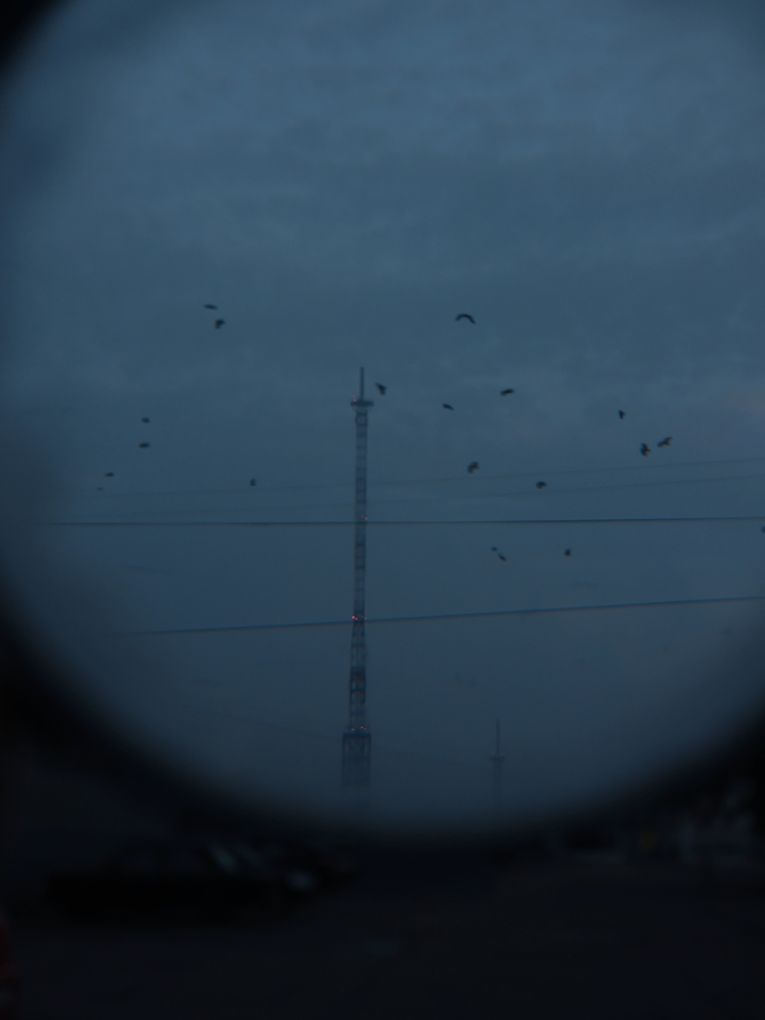 Август 2025. Den Mirov — Фотограф, Музыкант