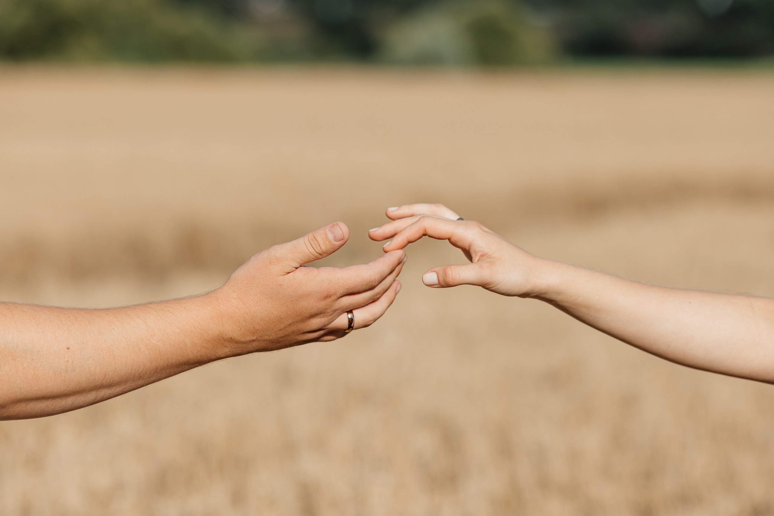 Мое портфолио. Анна Блохина Фотограф Звенигород Одинцово Истра Красногорск Москва