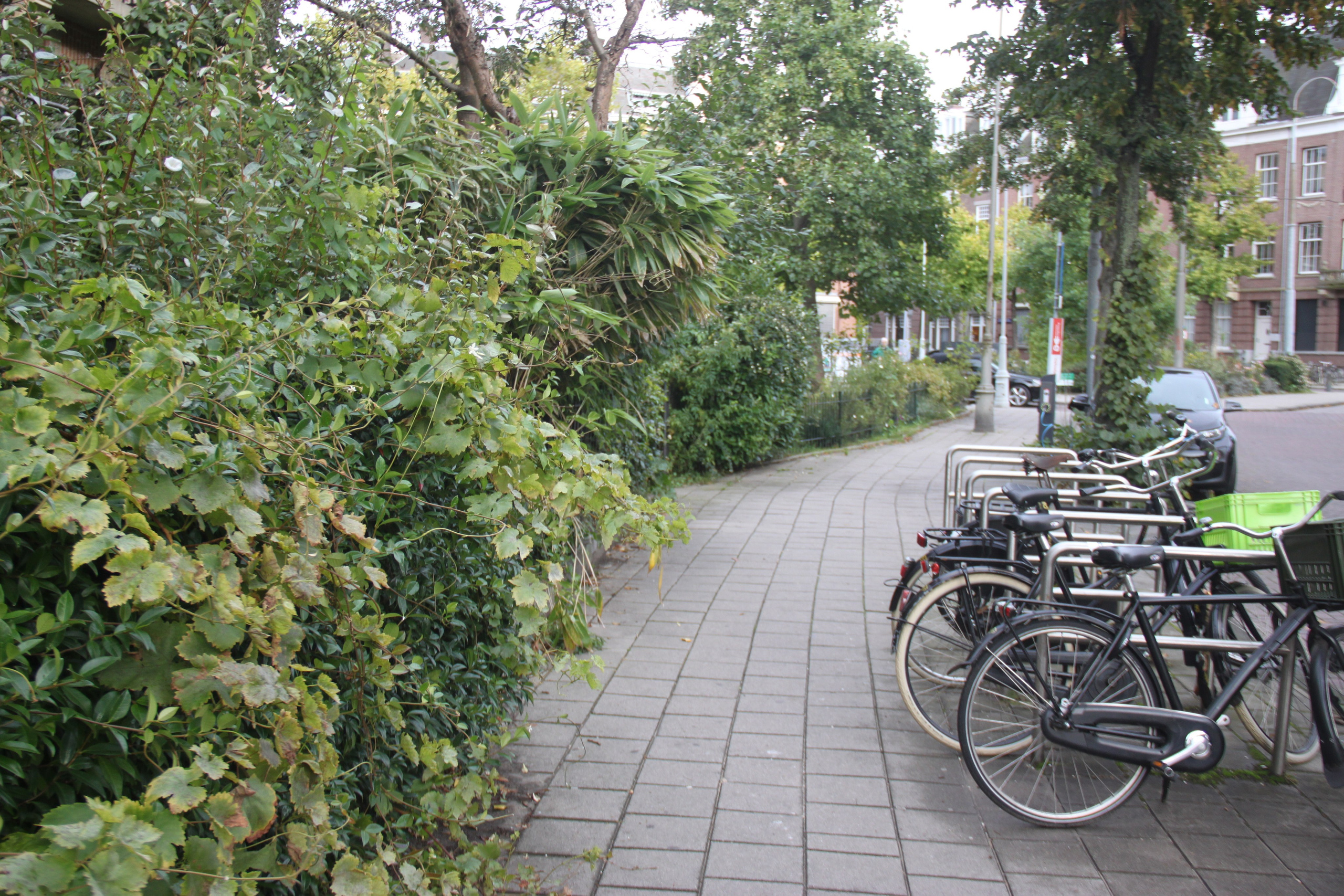 Amsterdam, Netherlands. Andrey Filippov Photographer