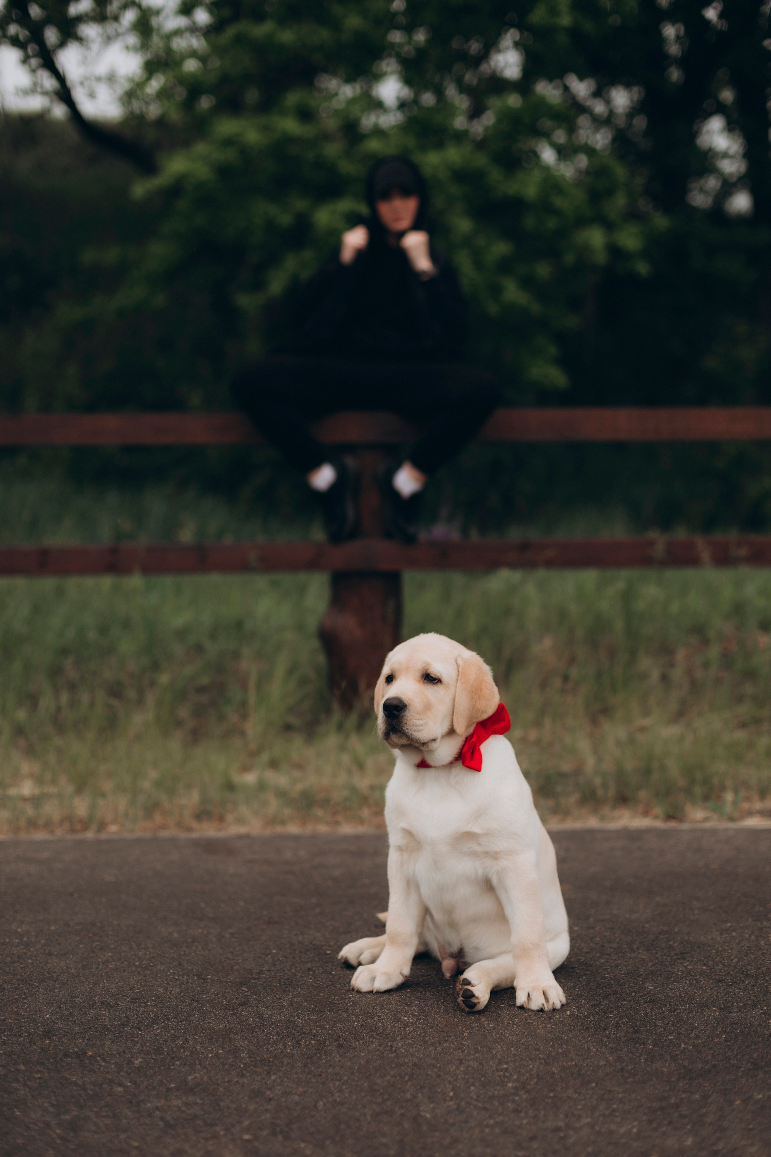 Стелла и Арвин. Фотограф Мария Щеголькова. Чувственный женский портрет