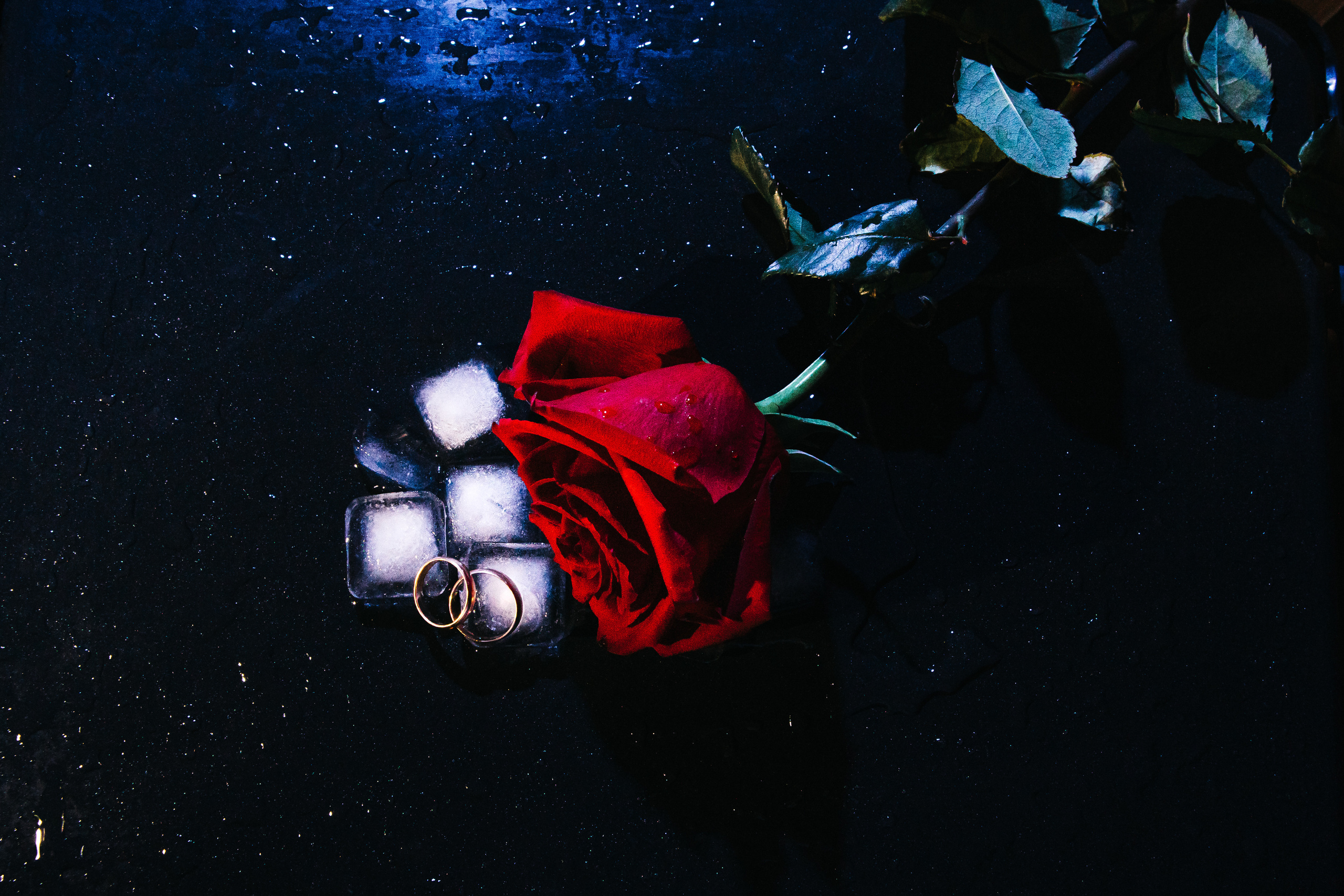 Предметная. Фотограф Екатерина Кварданова