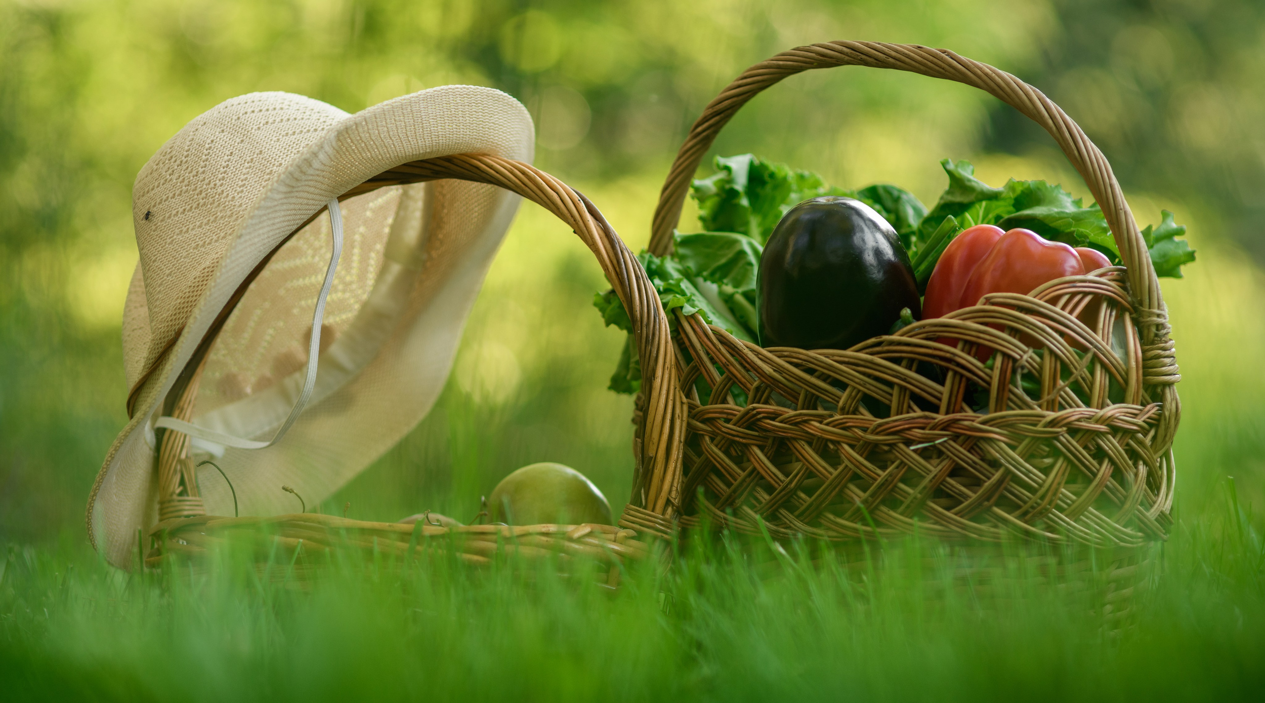 Отзывы о прошедшей фотосессии