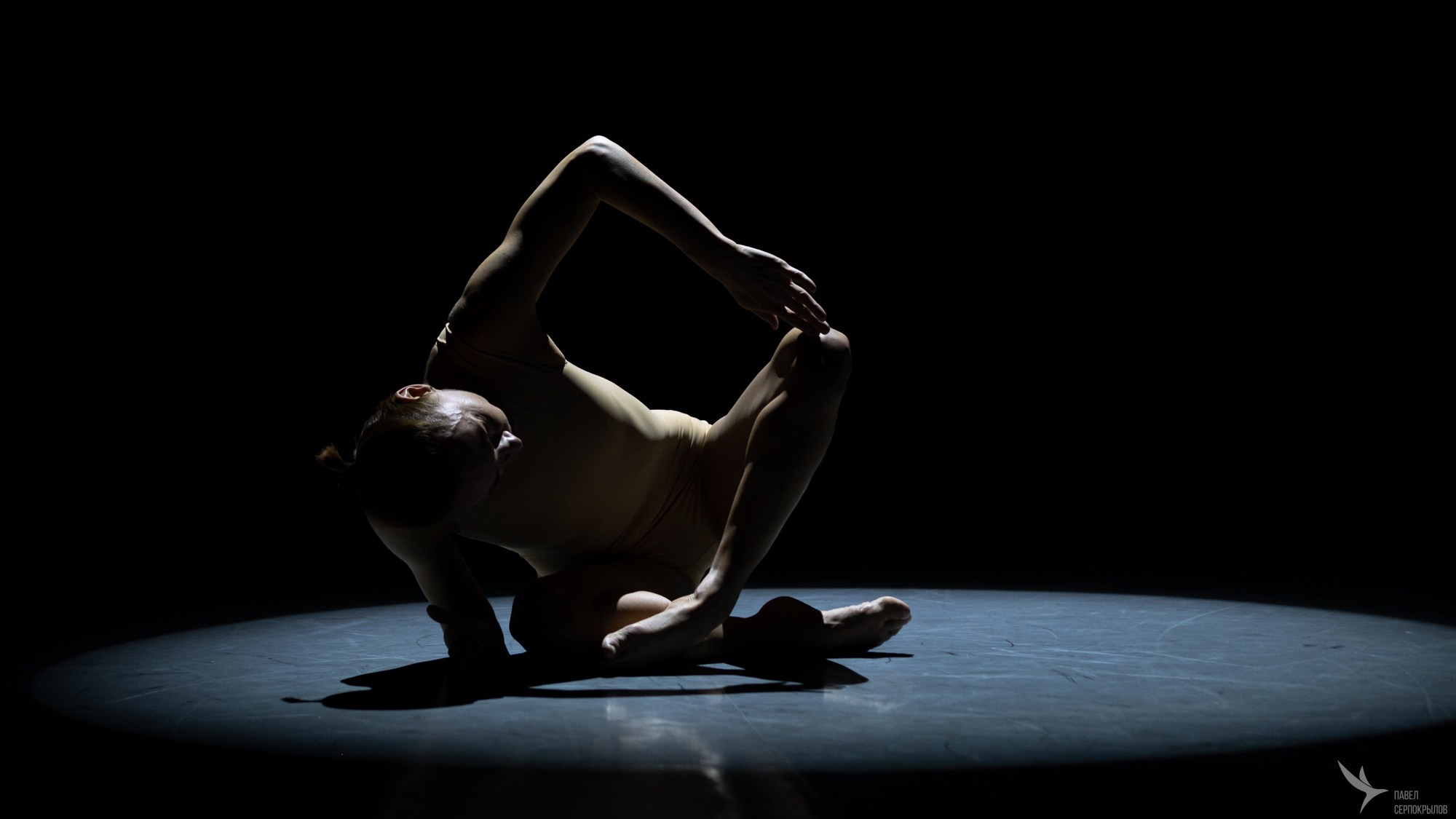 Евгения Сизмина, WATERFORMS