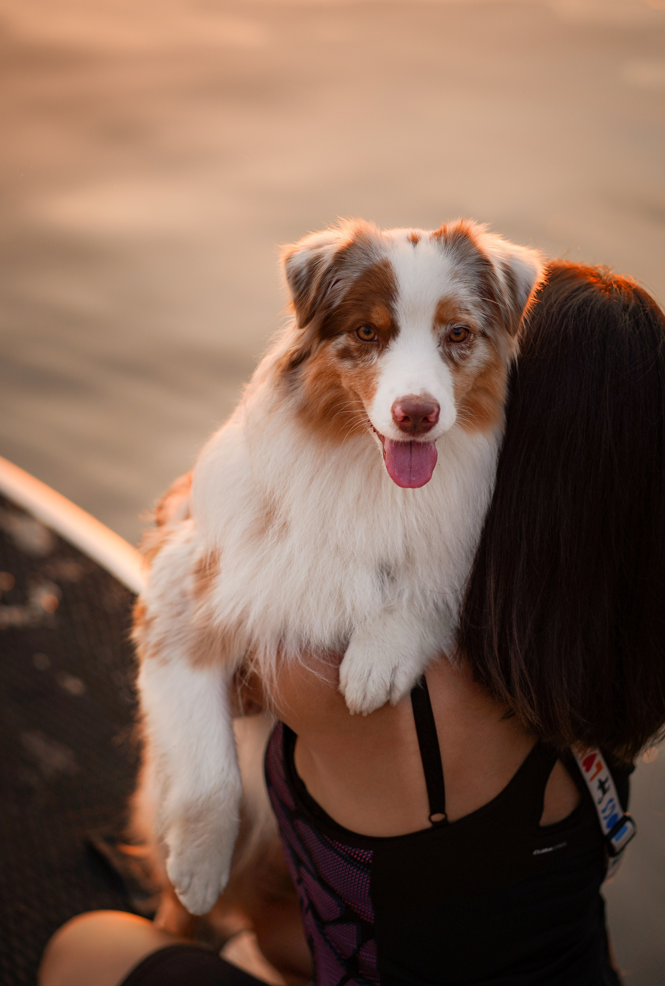 Панда SUP. Фотограф-анималист в Санкт-Петербурге Яна Мартынова