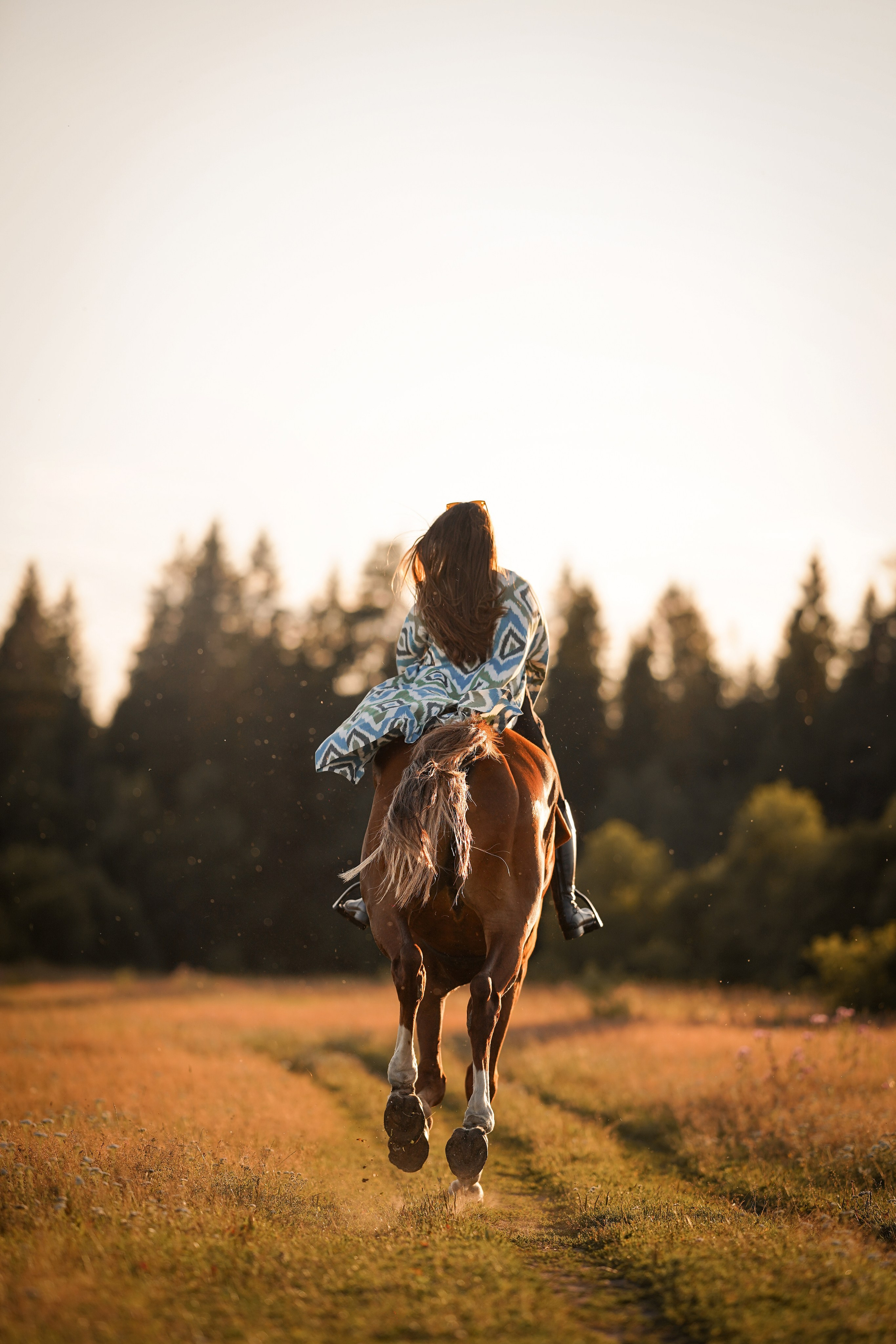 Лера Джон и Диамант. Фотограф-анималист в Санкт-Петербурге Яна Мартынова