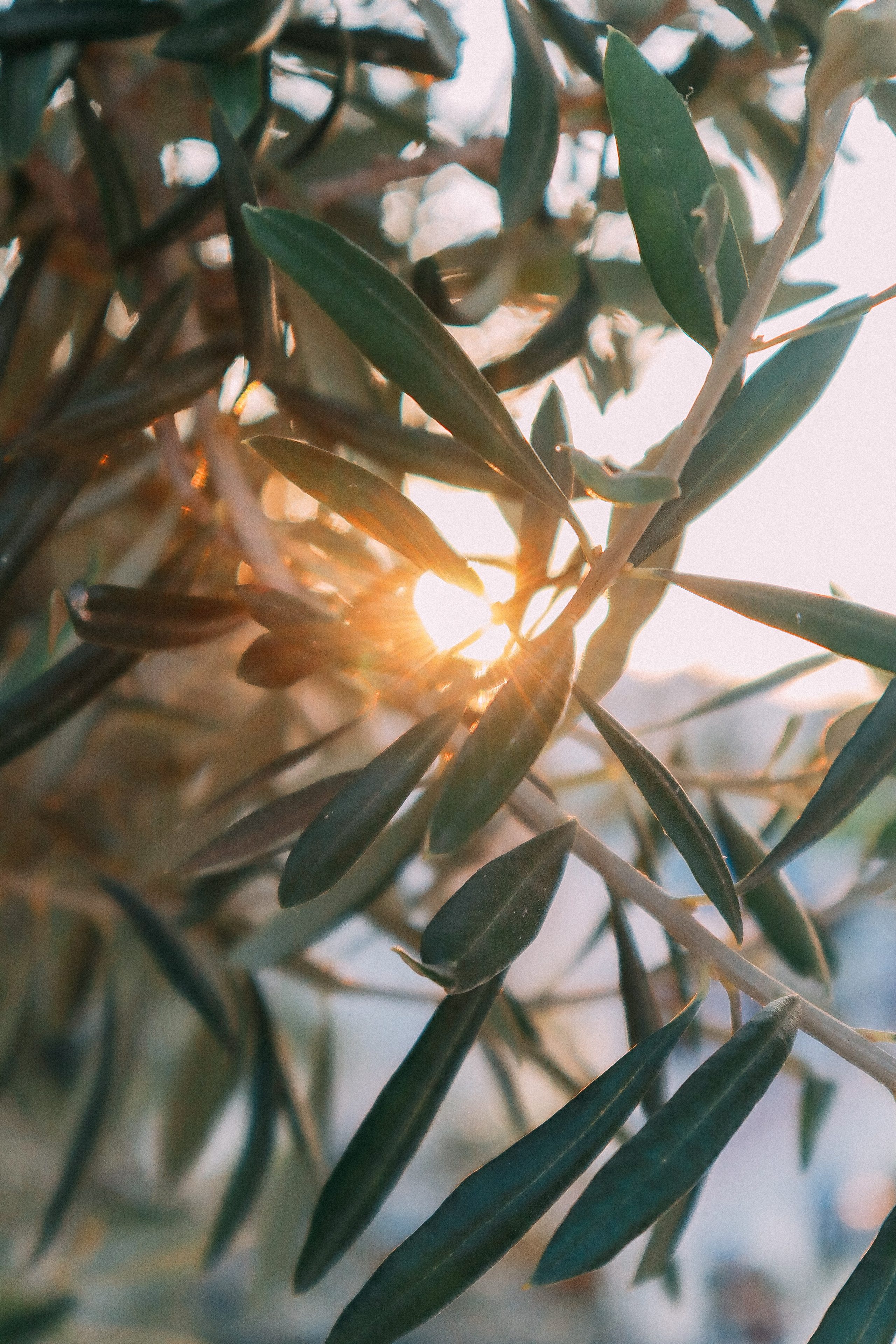 Крит. Аня Степанова