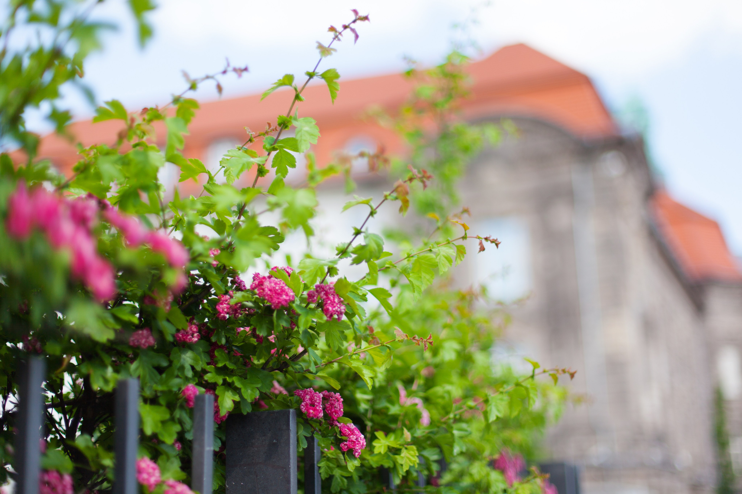 Берлин. Аня Степанова