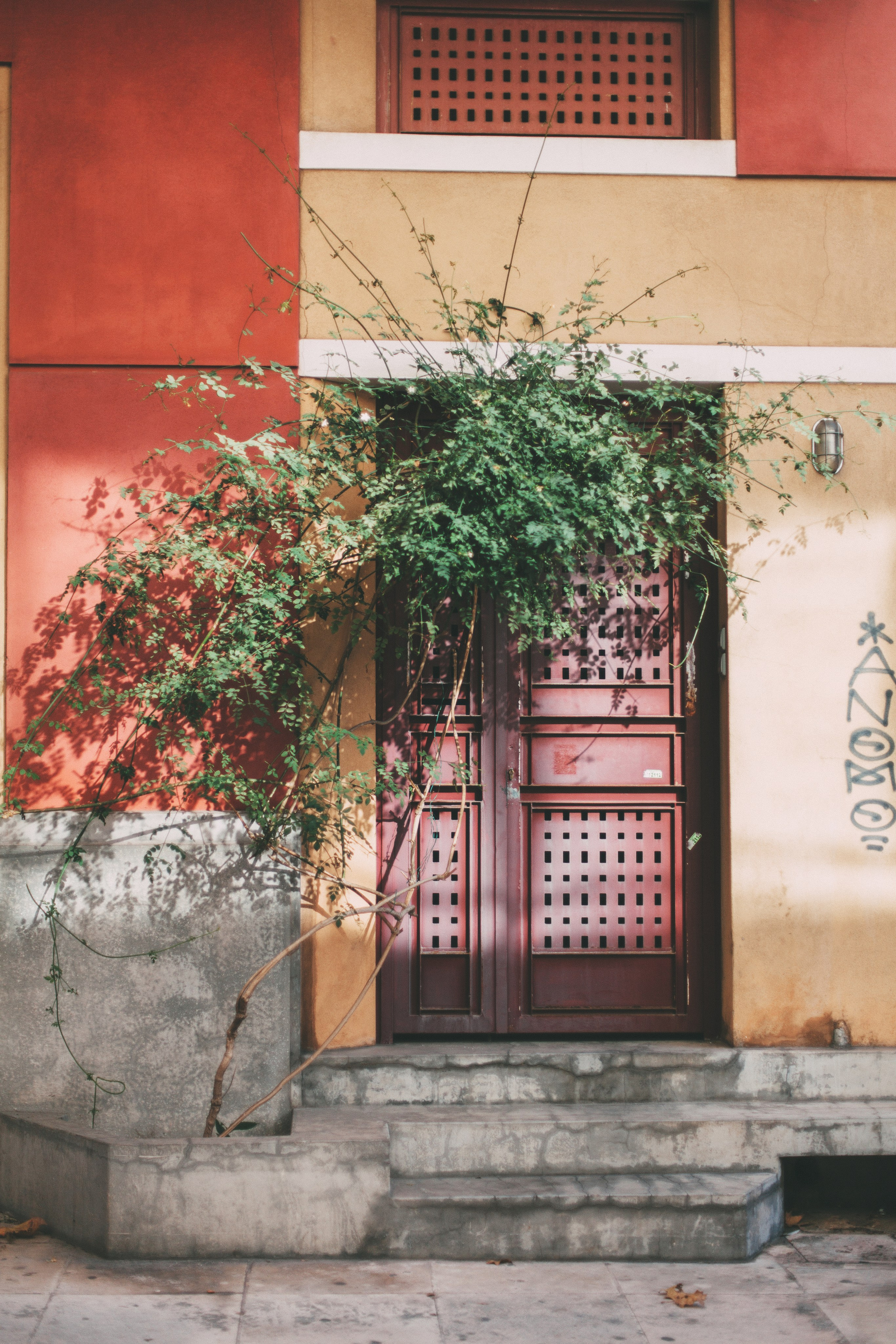 Афины. Аня Степанова