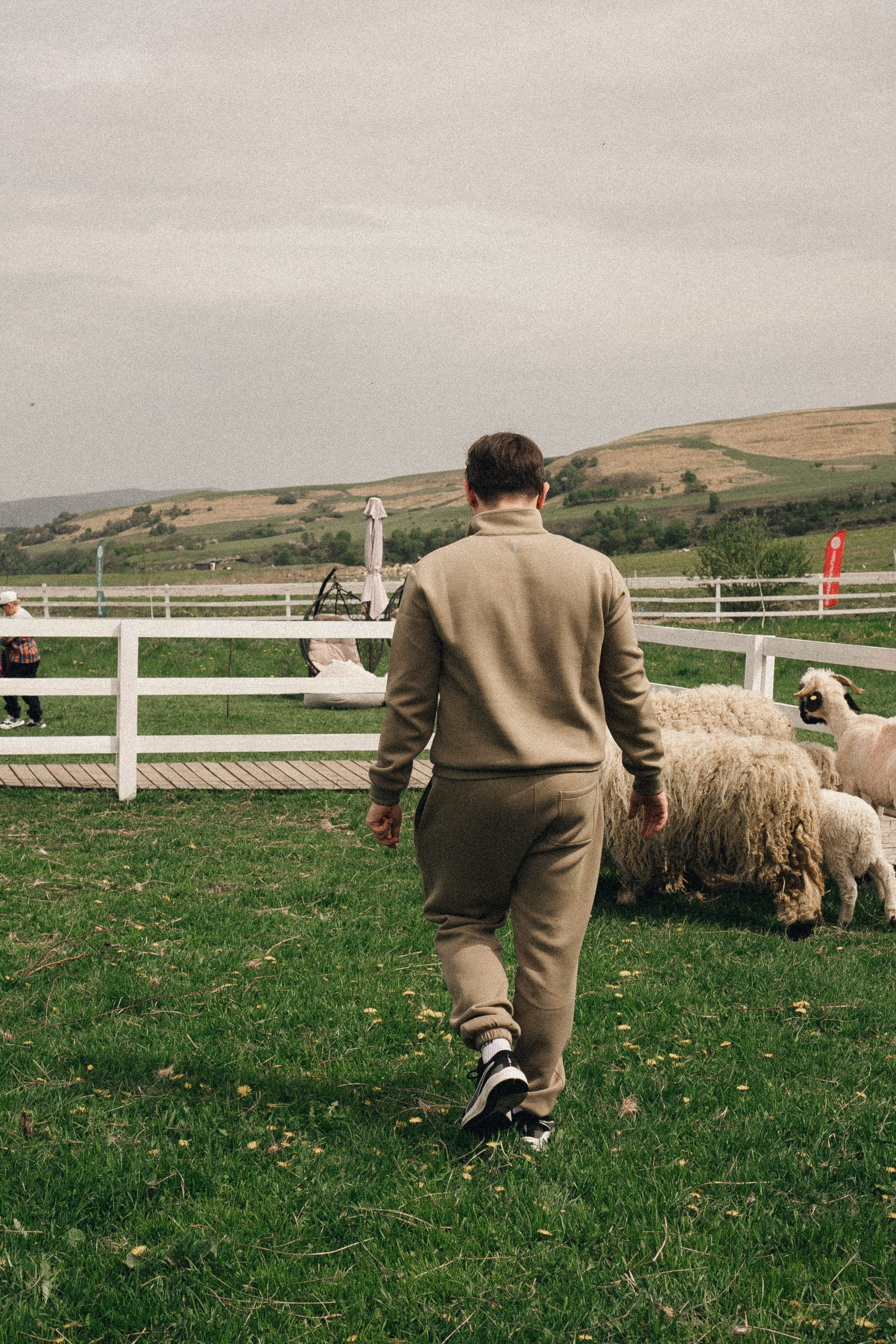 Ферма Альпак. Профессиональный фотограф, Санкт-Петербург — Виктория Богомолова