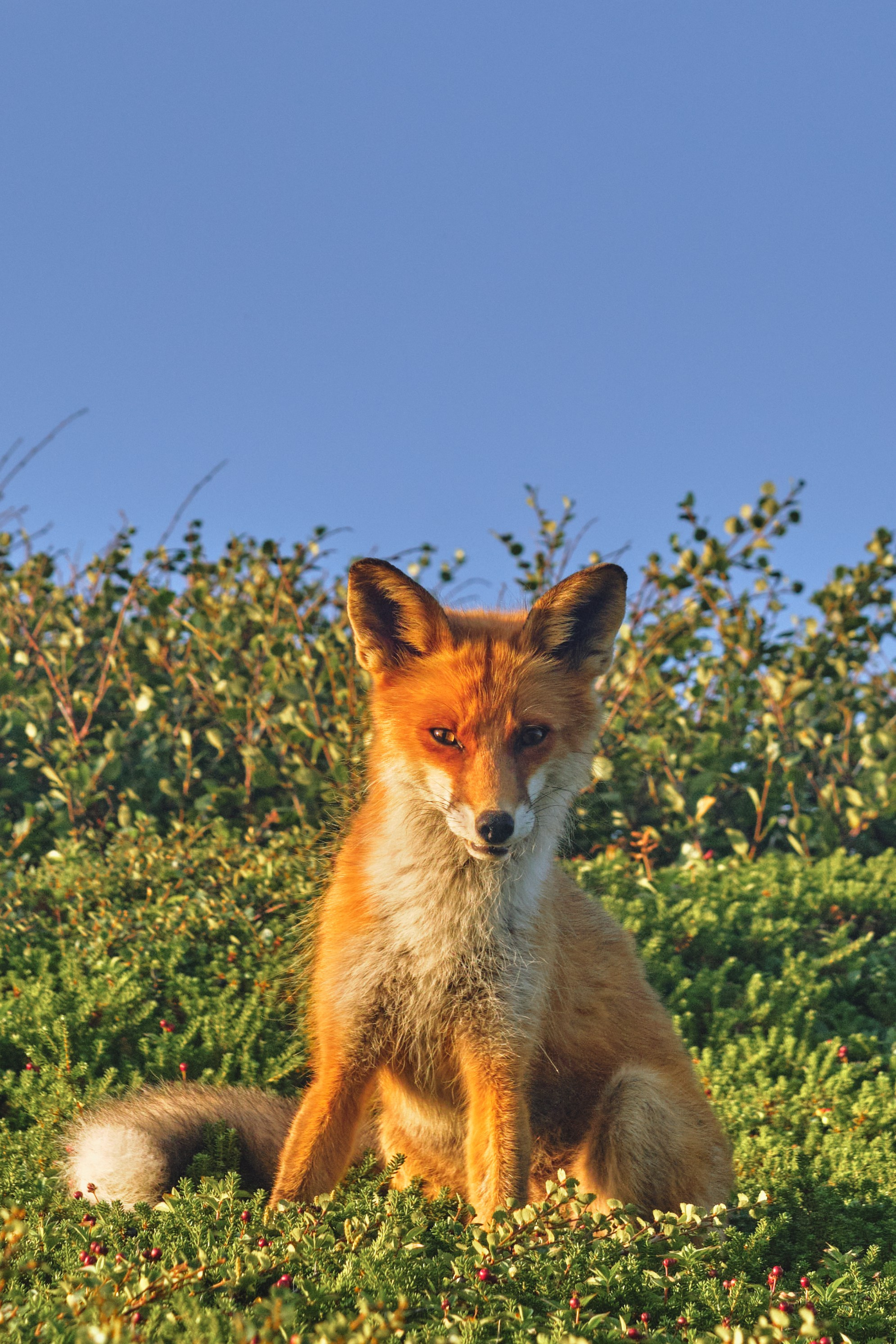 Северные дневники. Алиса Северная. Визуальные исследования. Пейзажная и документальная фотография