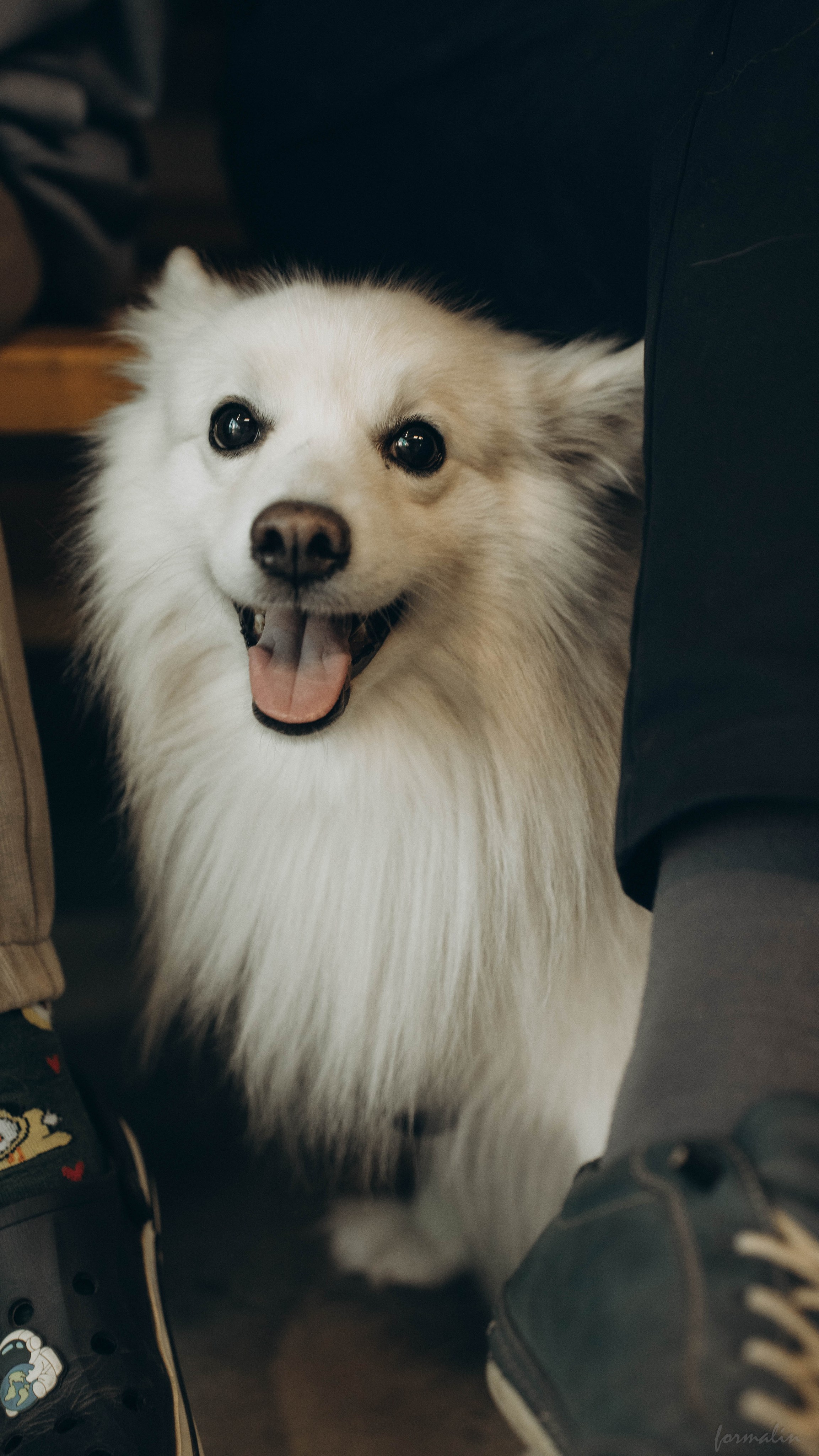 Фестиваль поисковых отрядов РТ 2025. Алиса Никитцова | Фотограф в Казани