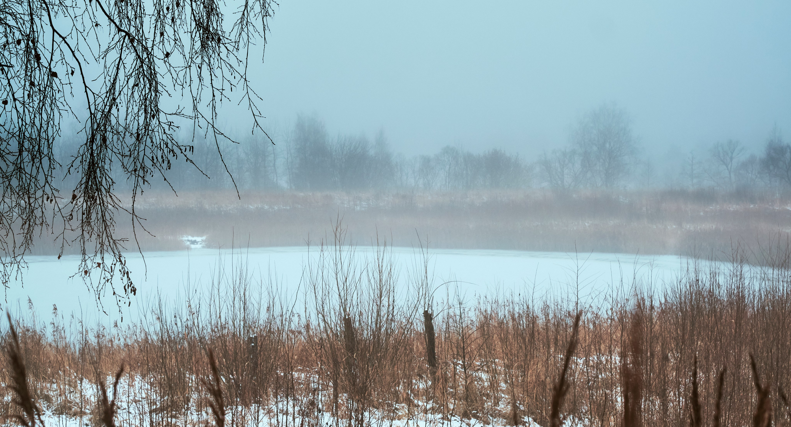 Съемкав туман. Фотограф для маркетплейсов в Иваново | Съемки одежды и белья