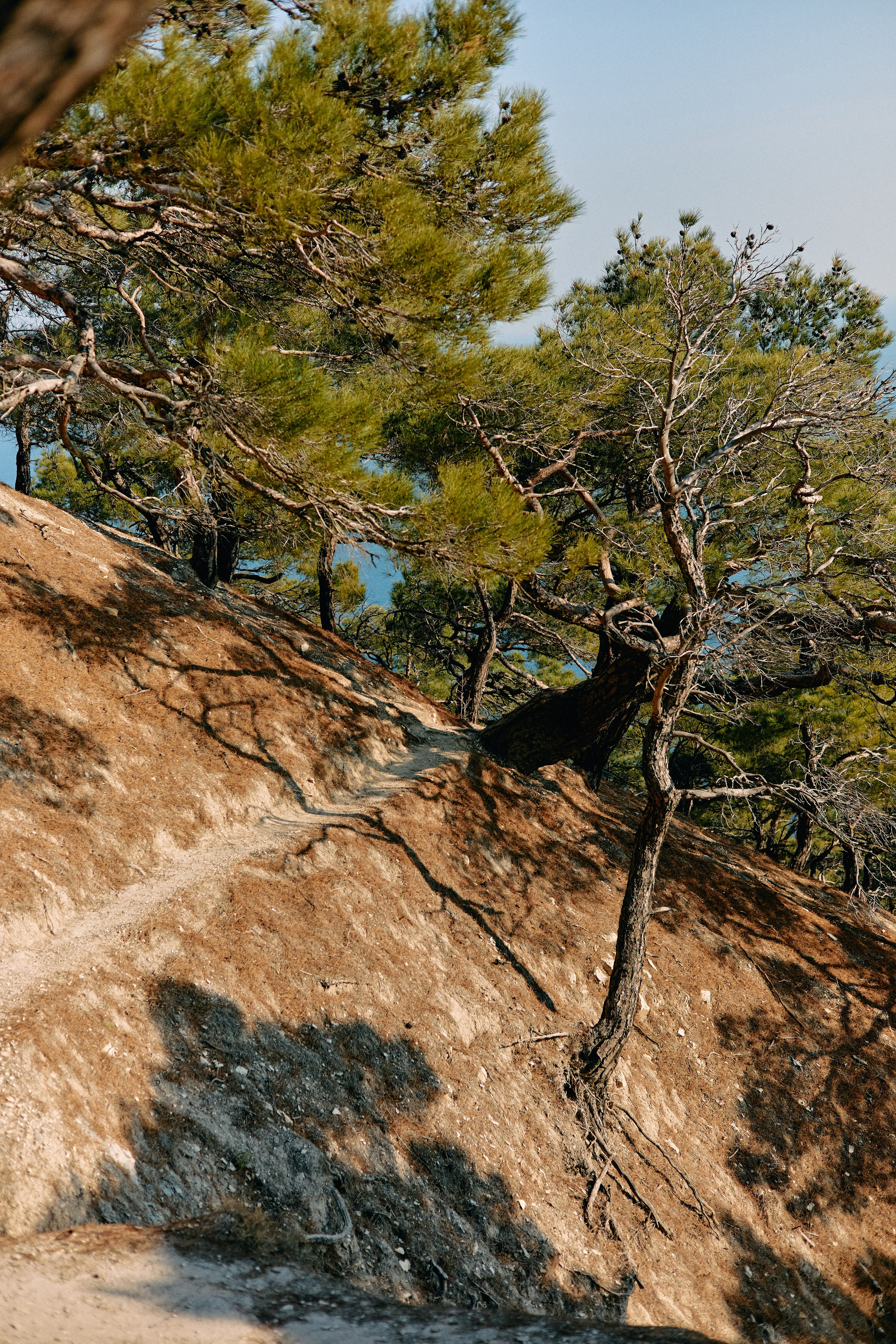 Юг России. Профессиональный Фотограф во Владимире, в Москве и в Суздале — Полина Романычева