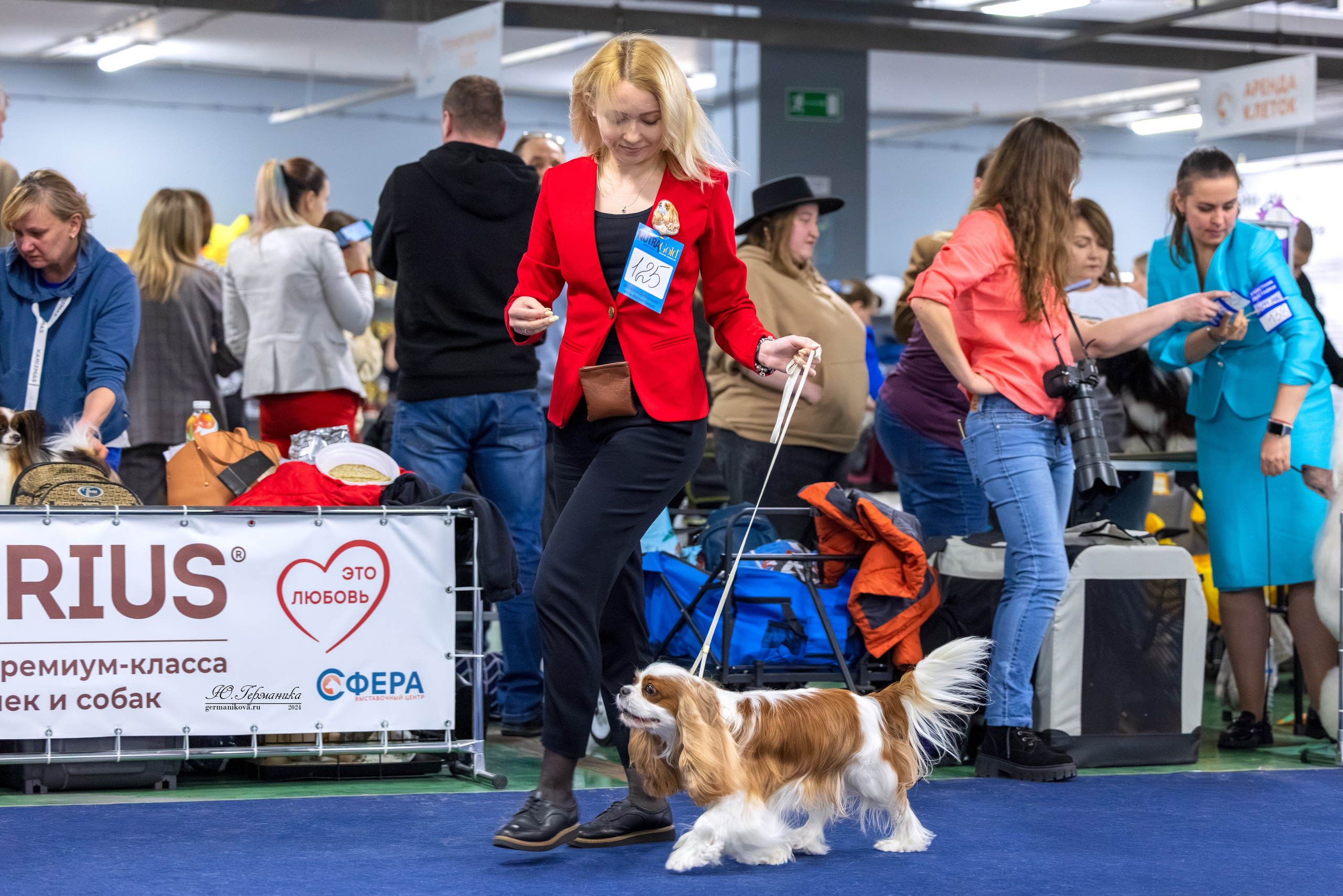 Сфера 17.03.2024. Фотограф-анималист Юлия Германика