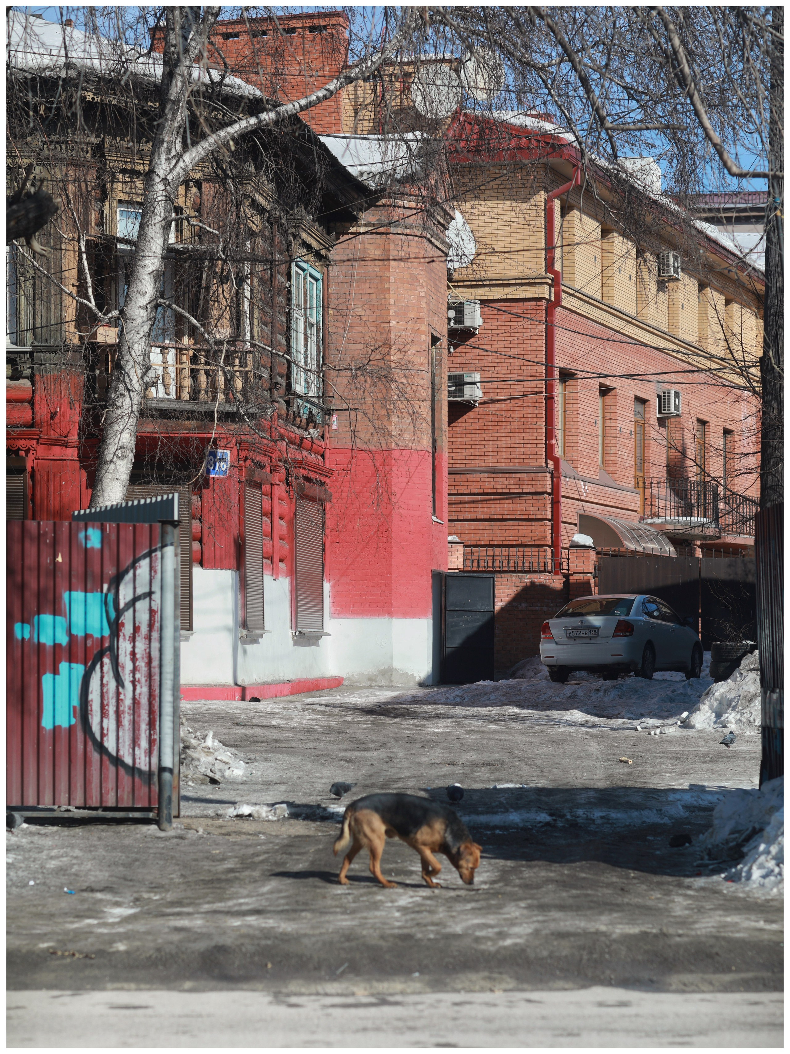 2021. Тащилин Сергей. Фотографии. Жизнь. Хобби