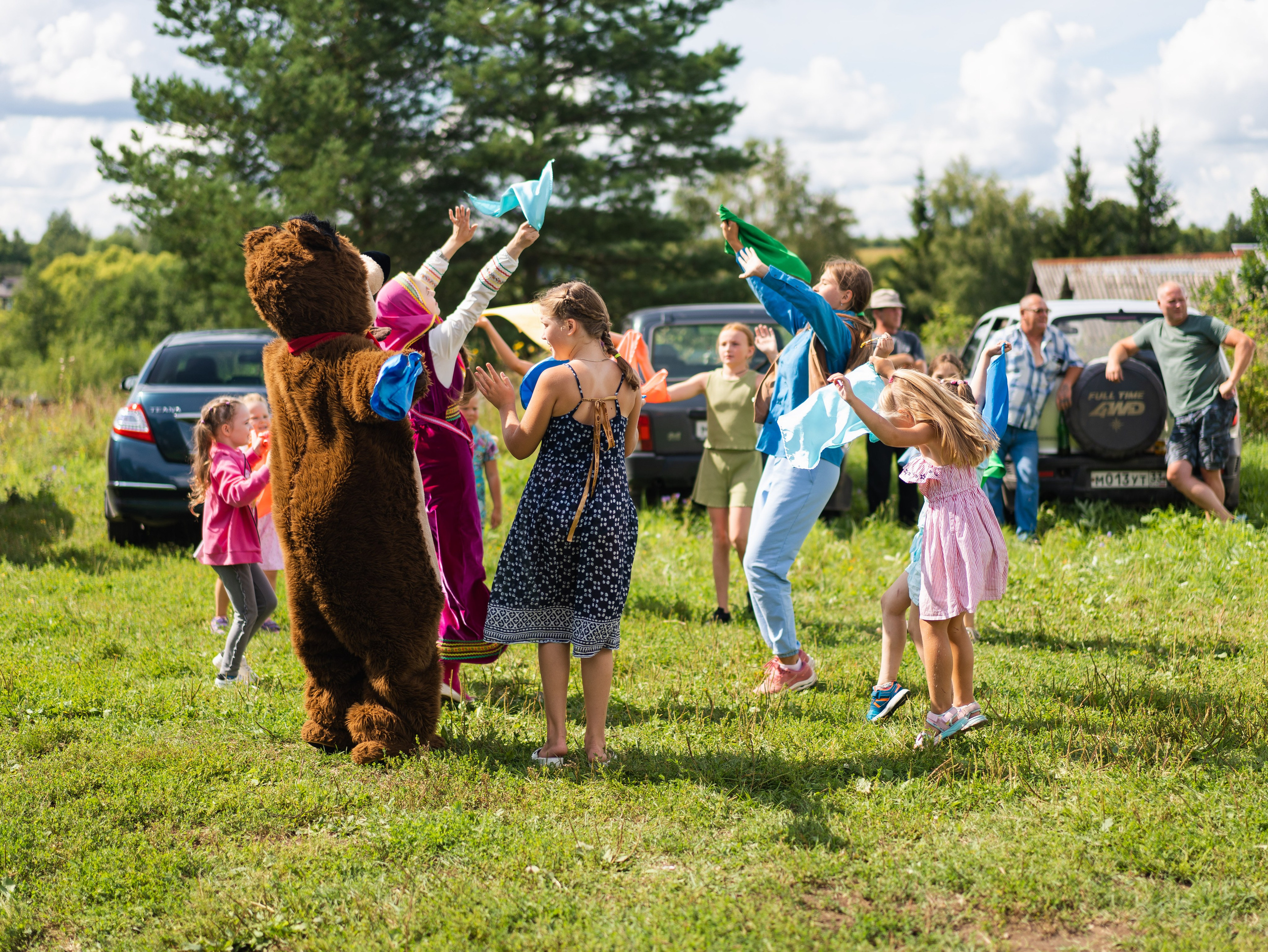 День села Новосёлка. Фотограф Москва
