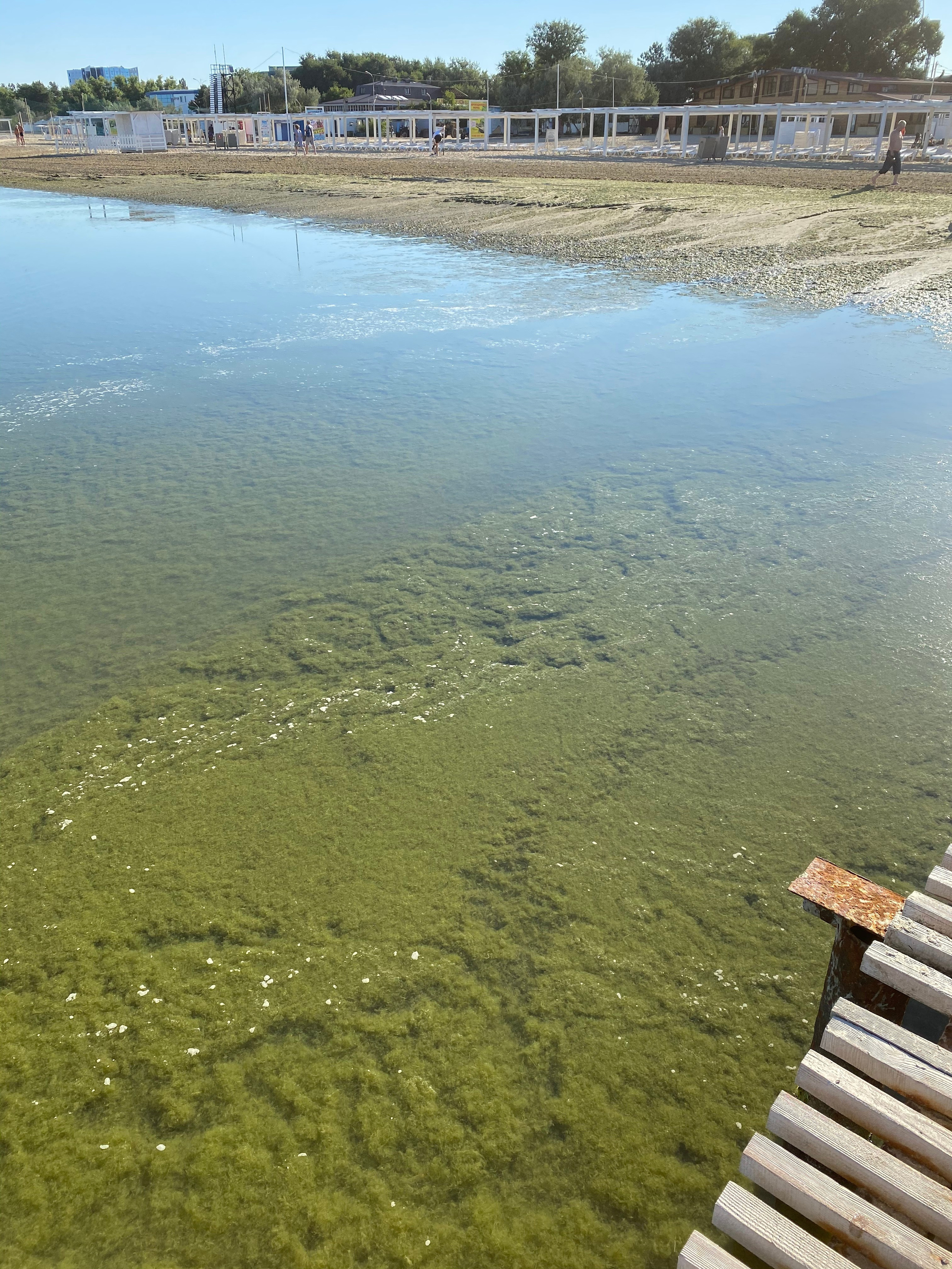 Анапа — 20. Своя Мастерская