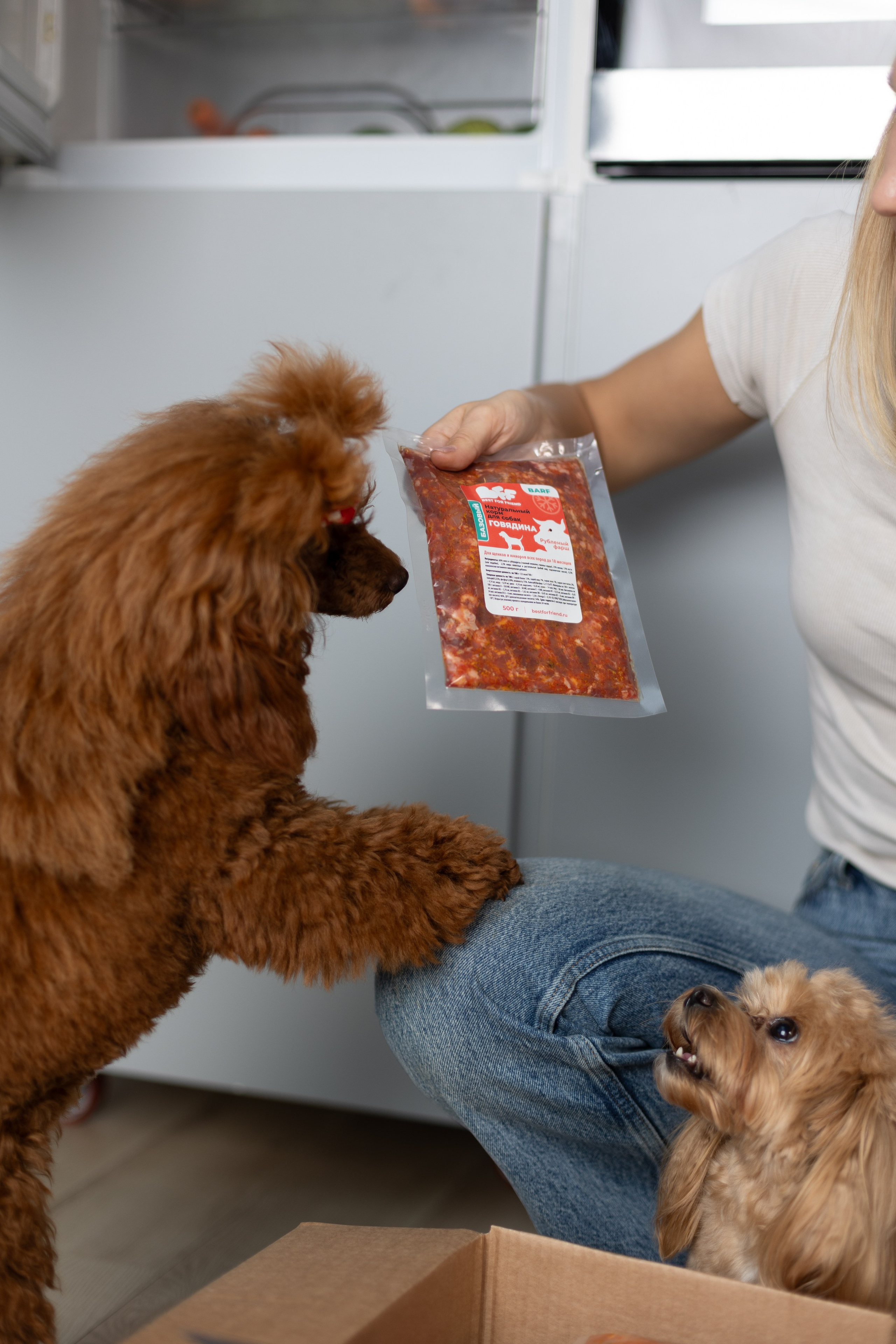 Best for friend (BFF). Фотограф анималист Кристина Карпова, Москва