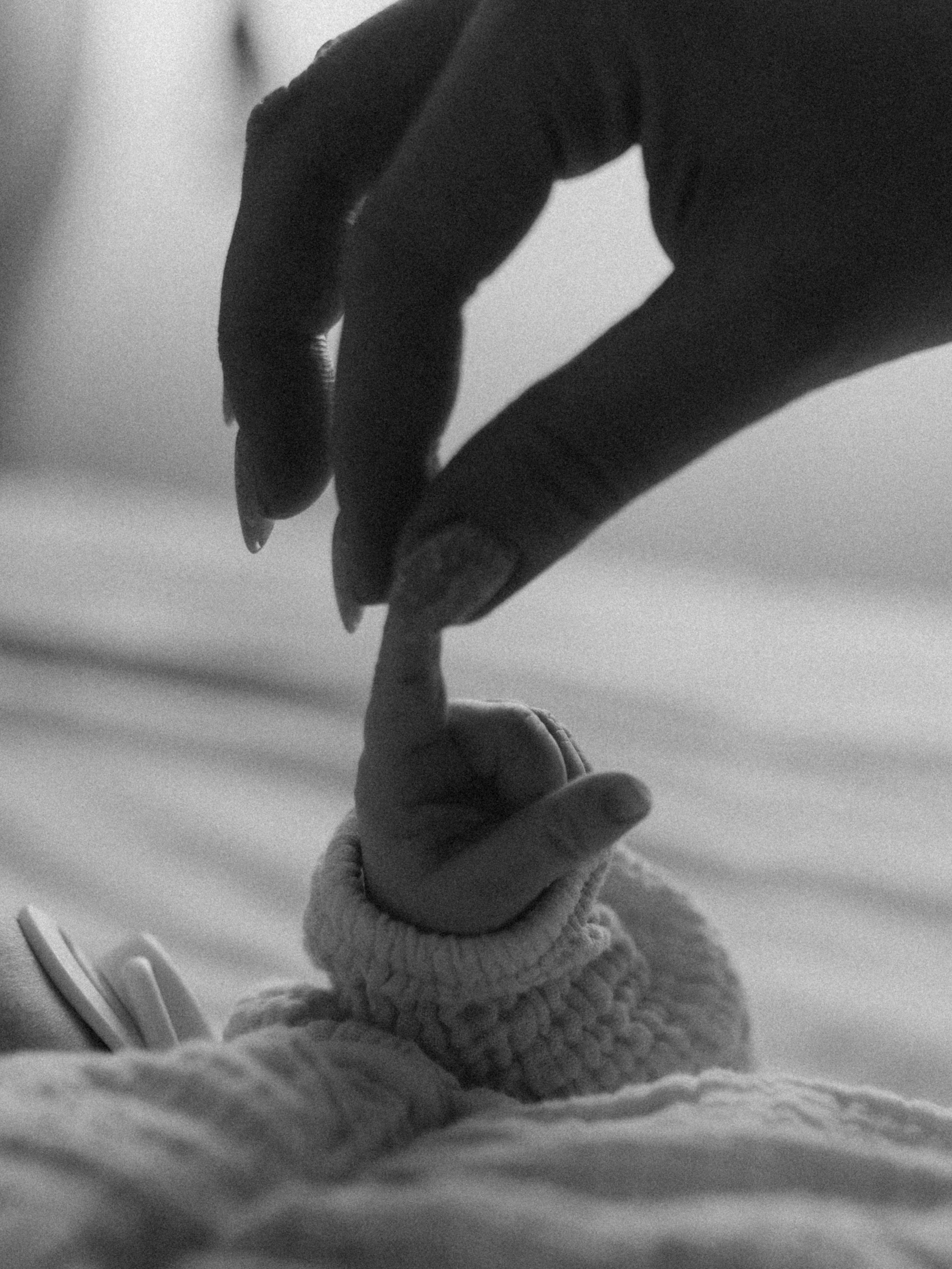 Домашняя. Семейный и детский фотограф в Рязани Екатерина Воронцова