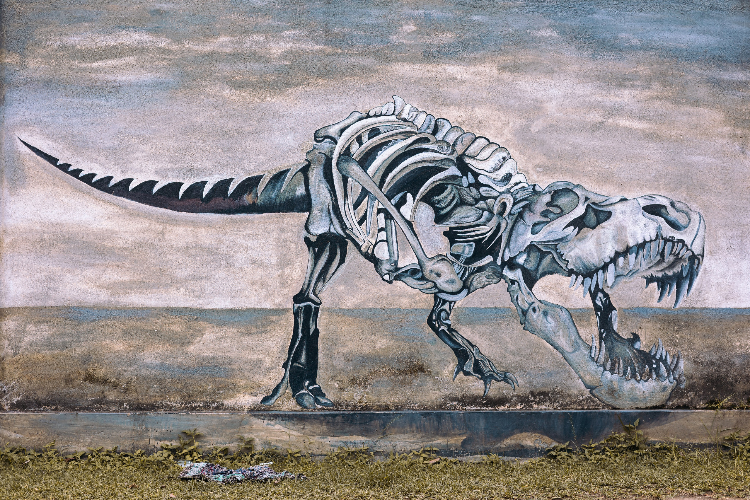 Weligama. Photographer Sonkina Tatiana (Tanya Ash)