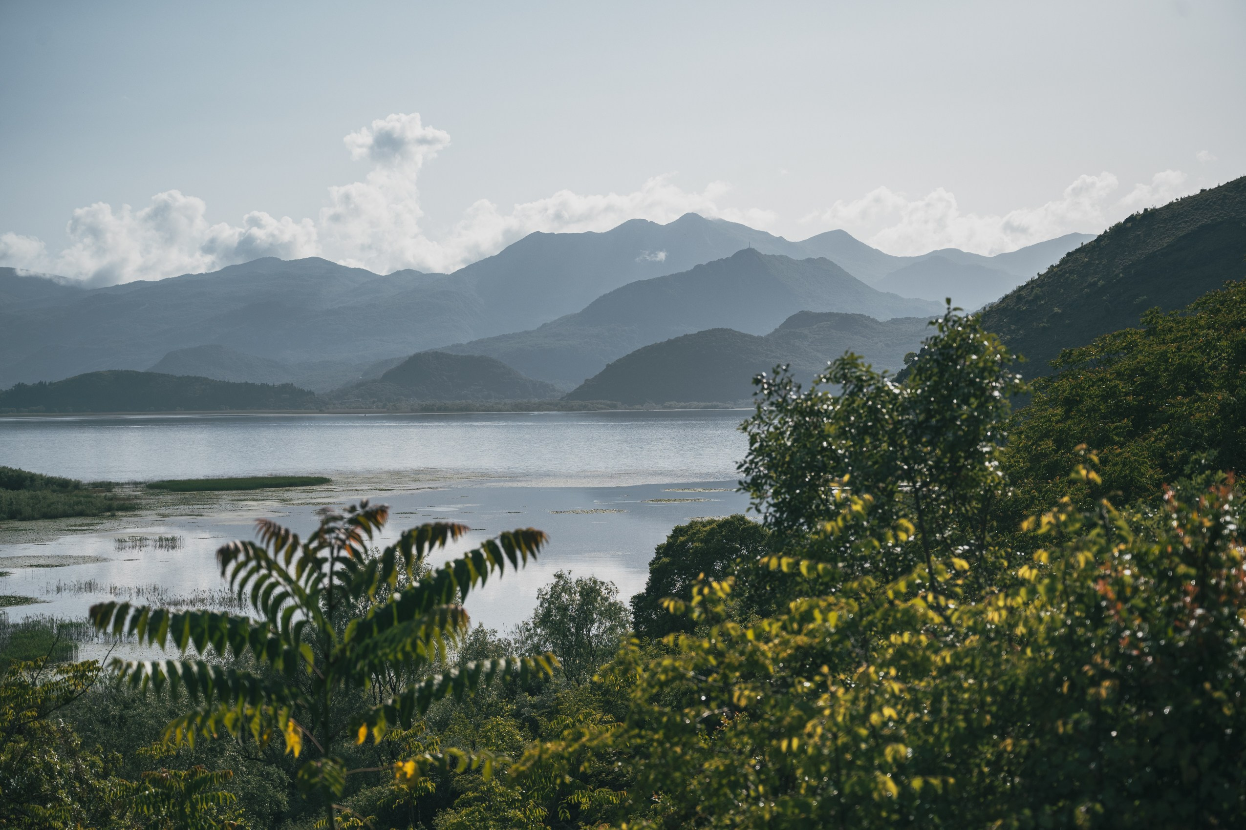 СКАДАРСКОЕ ОЗЕРО. ЧЕРНОГОРИЯ. Фотограф в Белграде Чугреева Елена