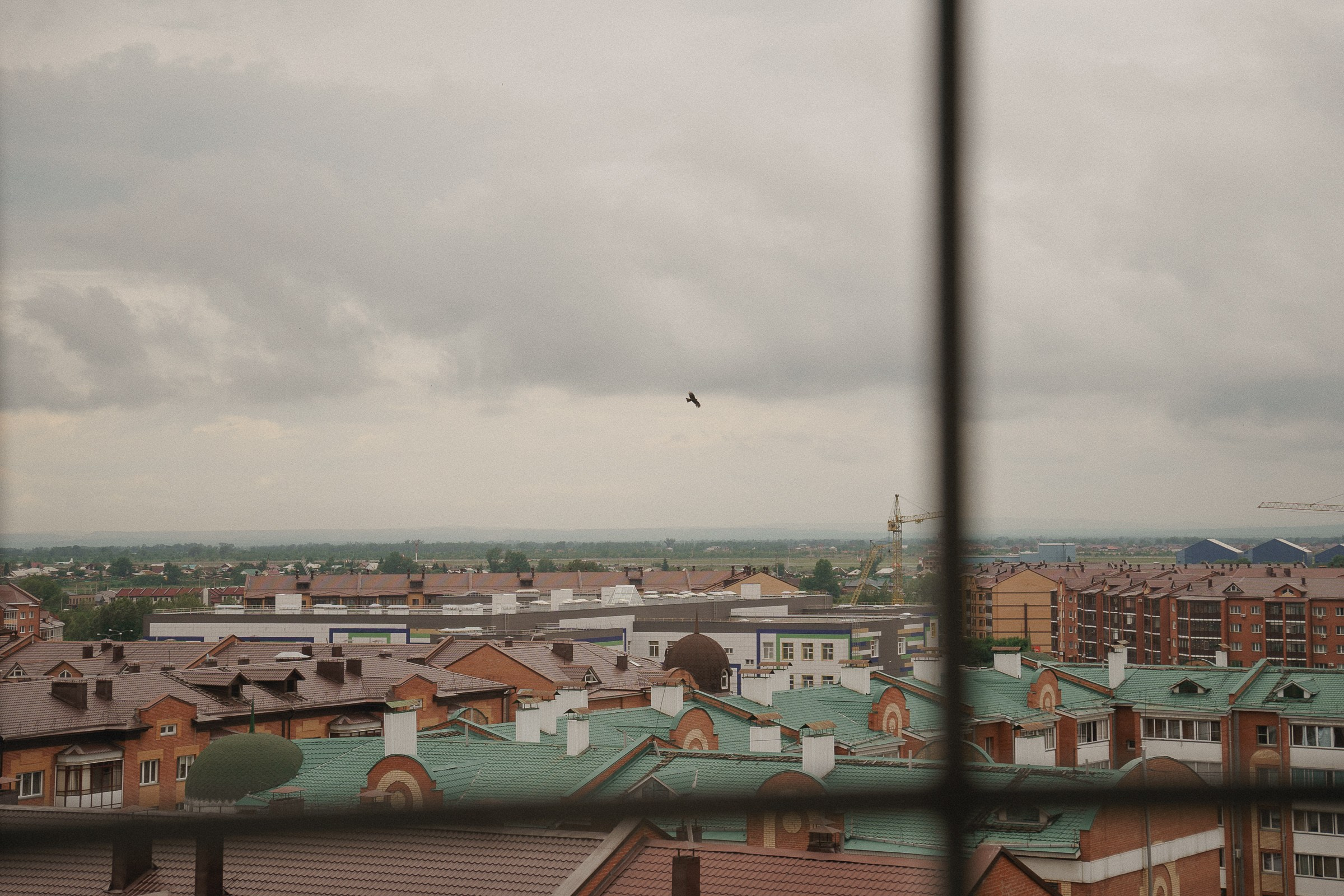 НАТАЛЬЯ И ДАНИЛА. Свадебный и семейный фотограф в Абакане Василевский Алексей
