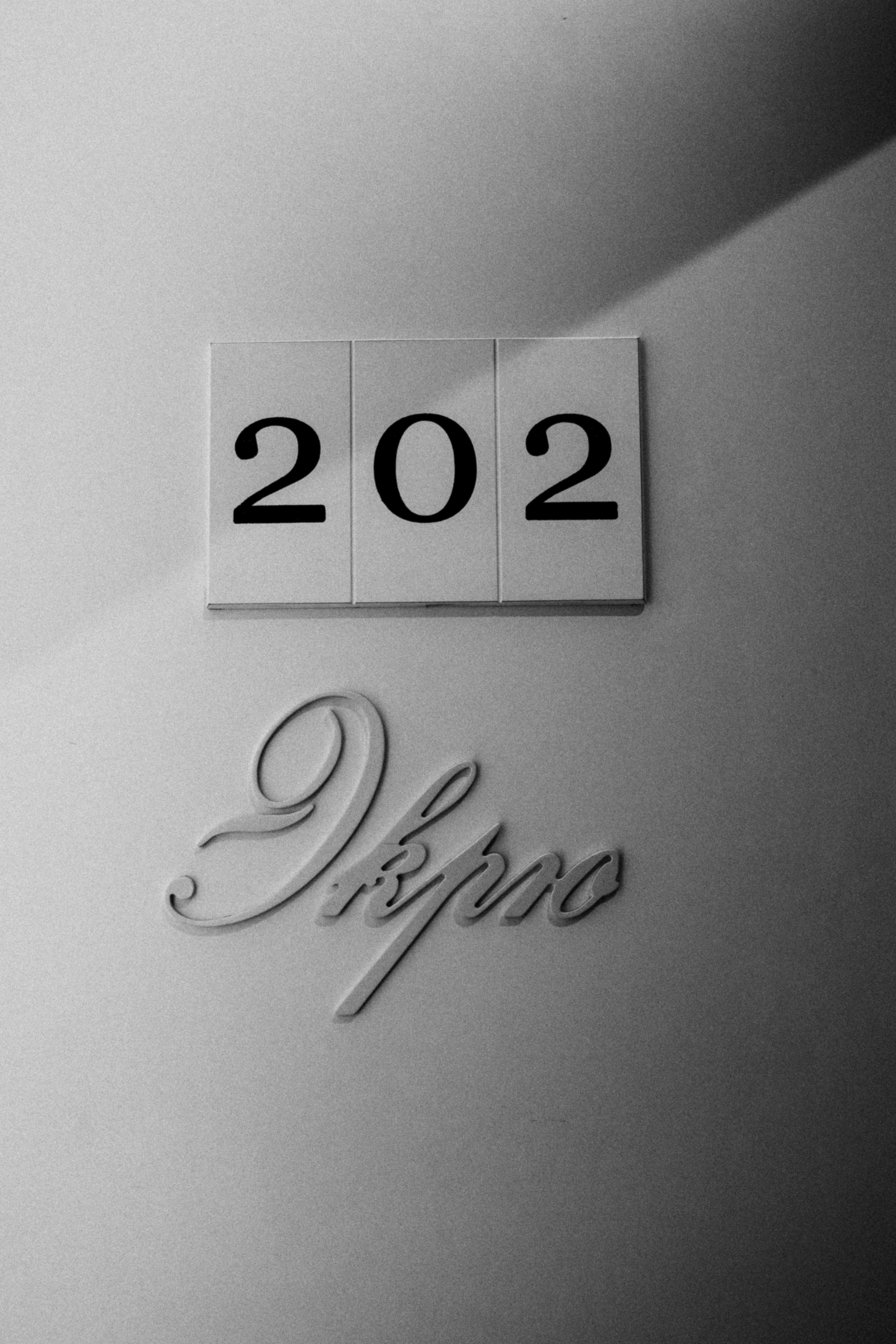 Василиса и Дмитрий. Свадебный и семейный фотограф Захарова Юлия